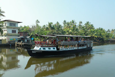 A luxury houseboat with elegant lighting sailing past lush green palm trees.