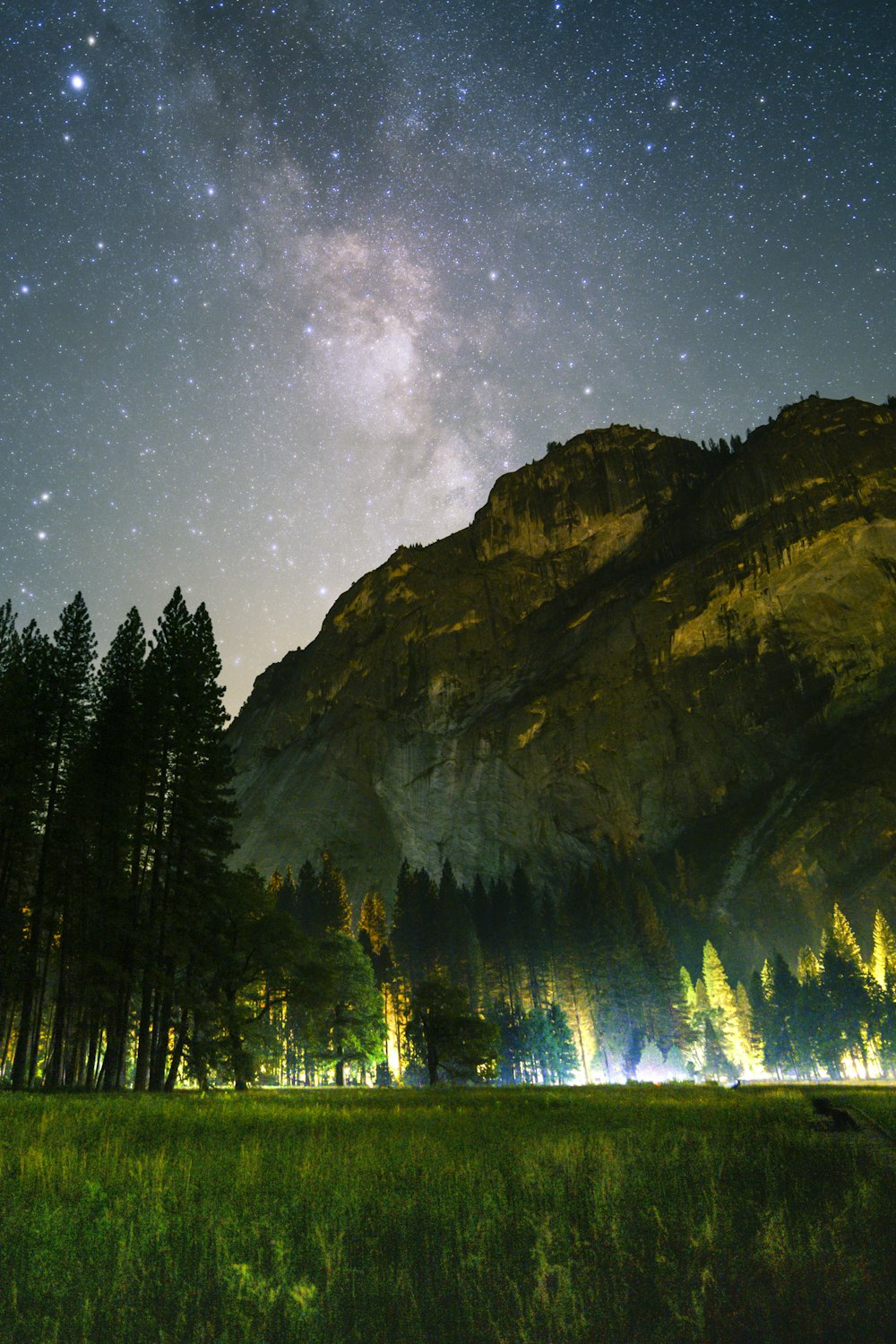 green grass field and tall trees in front of mountain under the galaxy