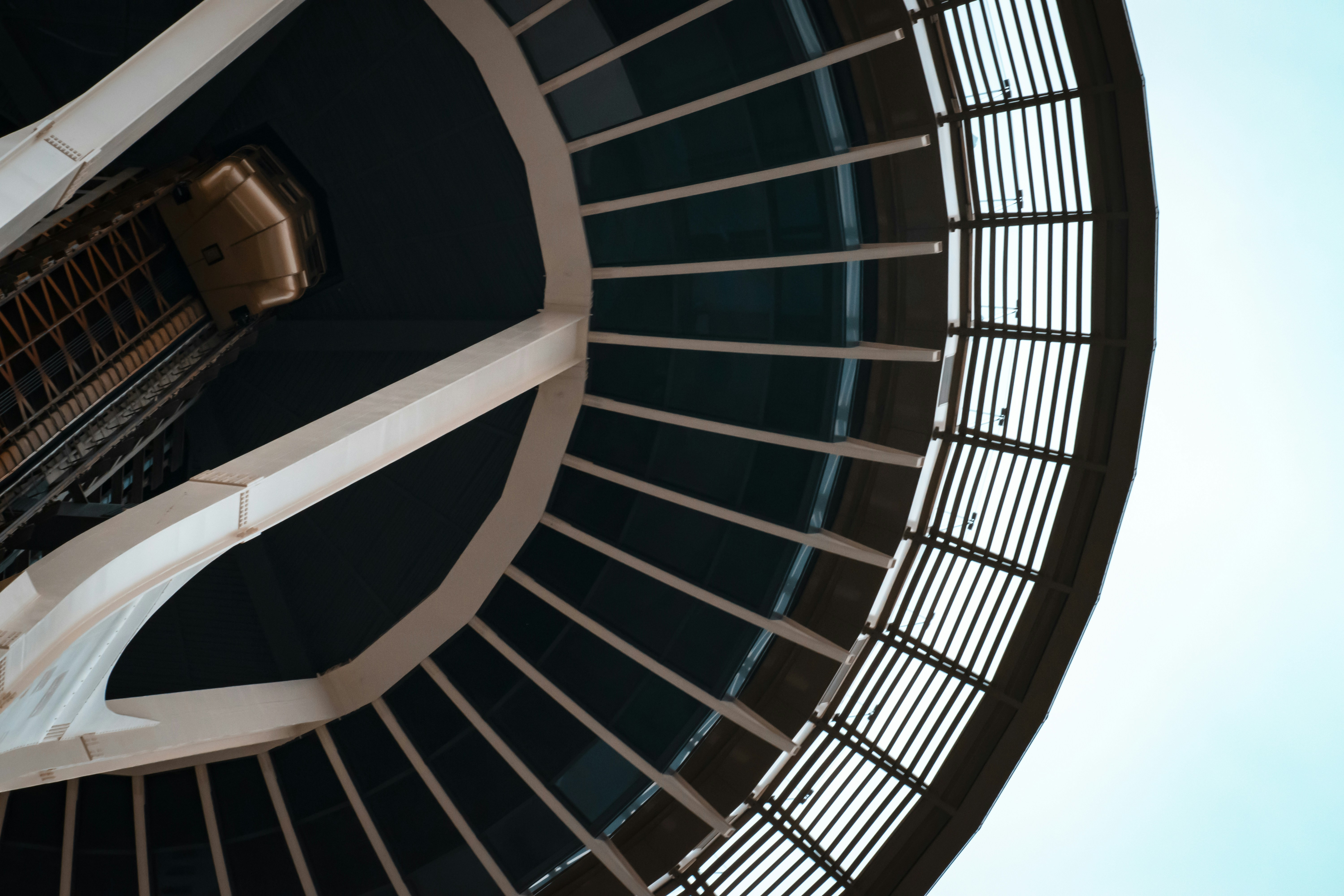 Claiming Your Piece of Space: A Guide to Affordable Cosmic Adventures