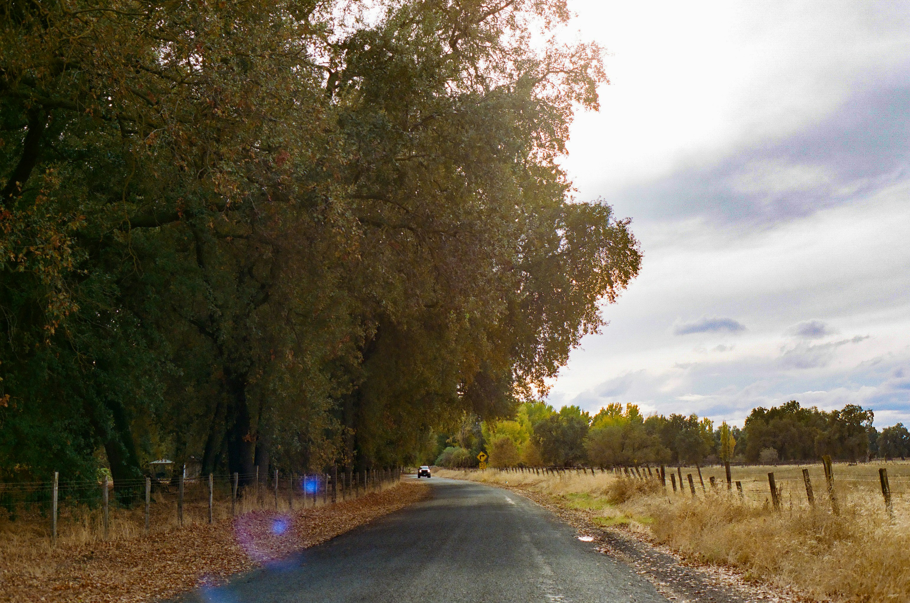 Photo by capturedbyjavi