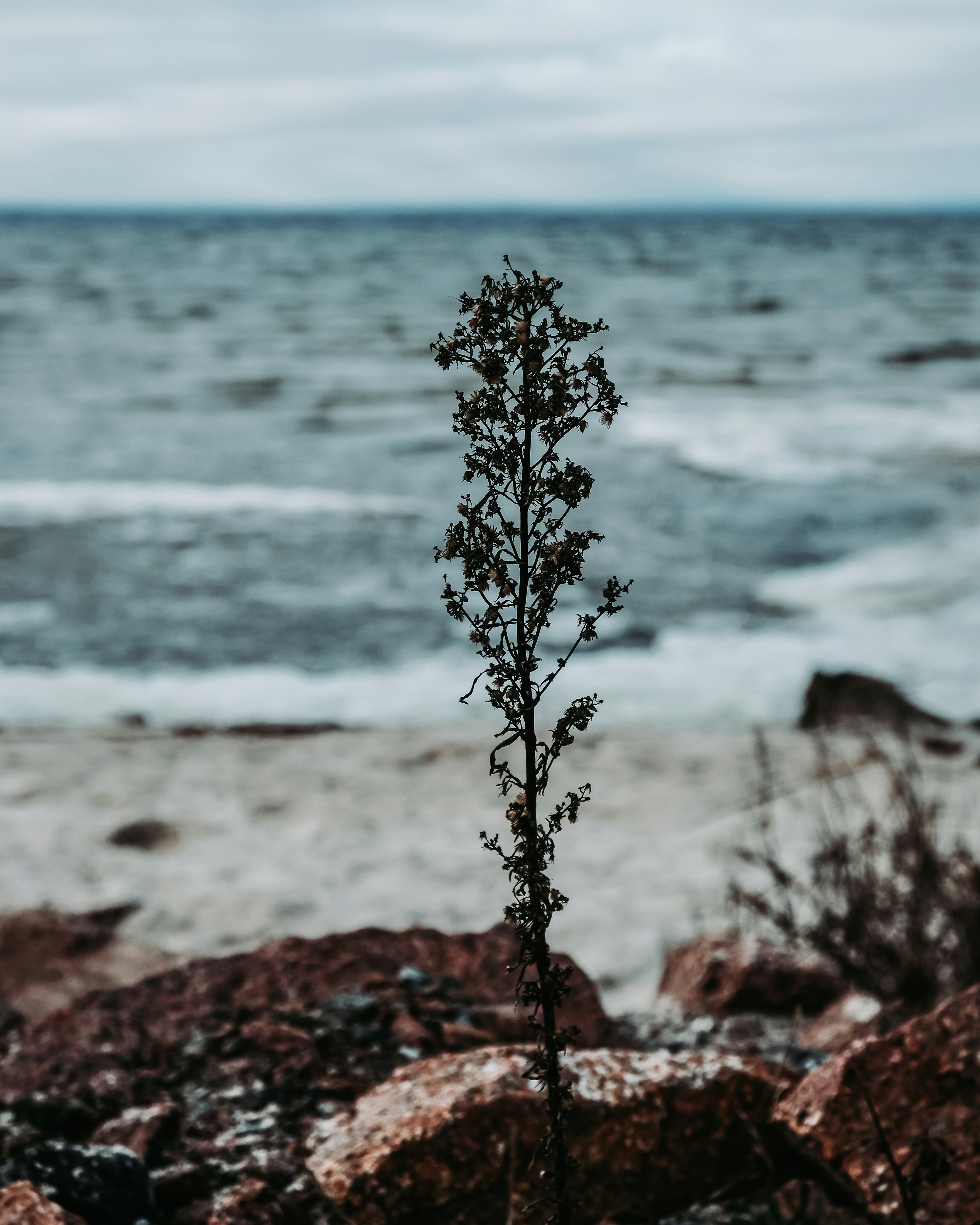 Photo by dpidhrushnyi