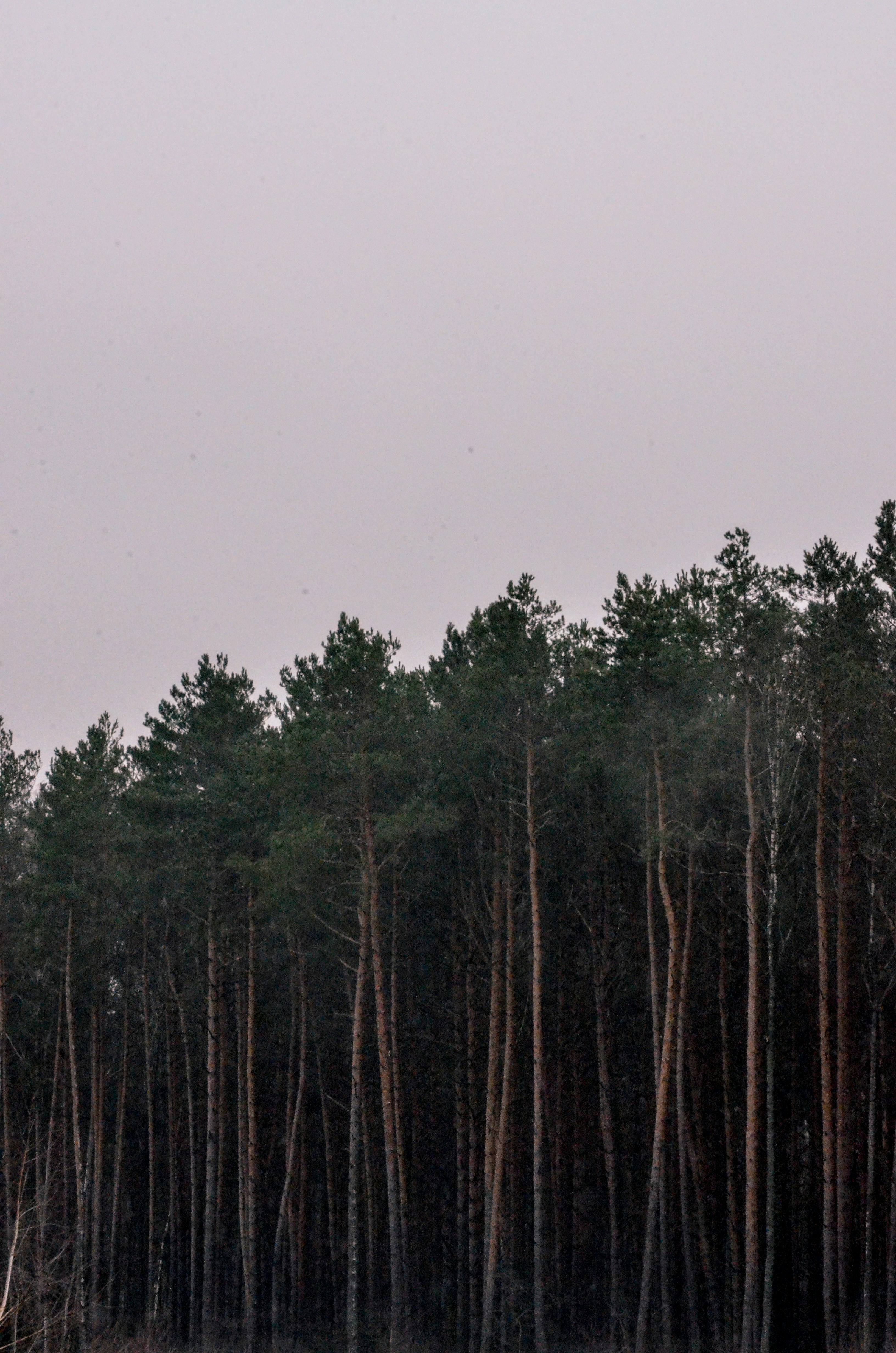 Photo by viktortalashuk