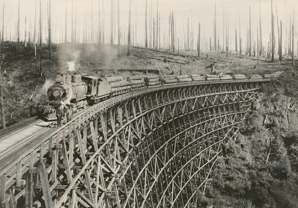 grayscale photography of train