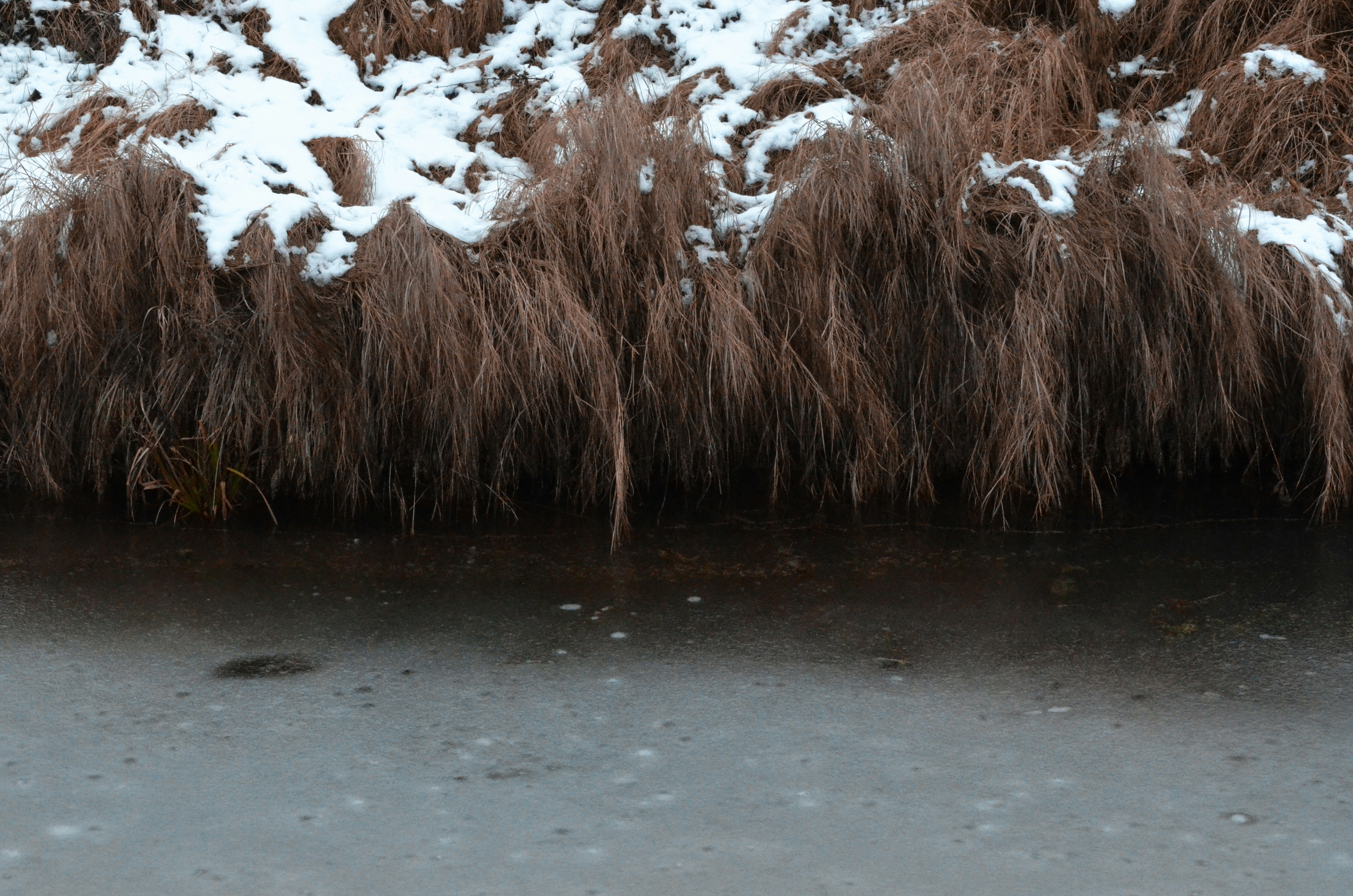 Photo by viktortalashuk