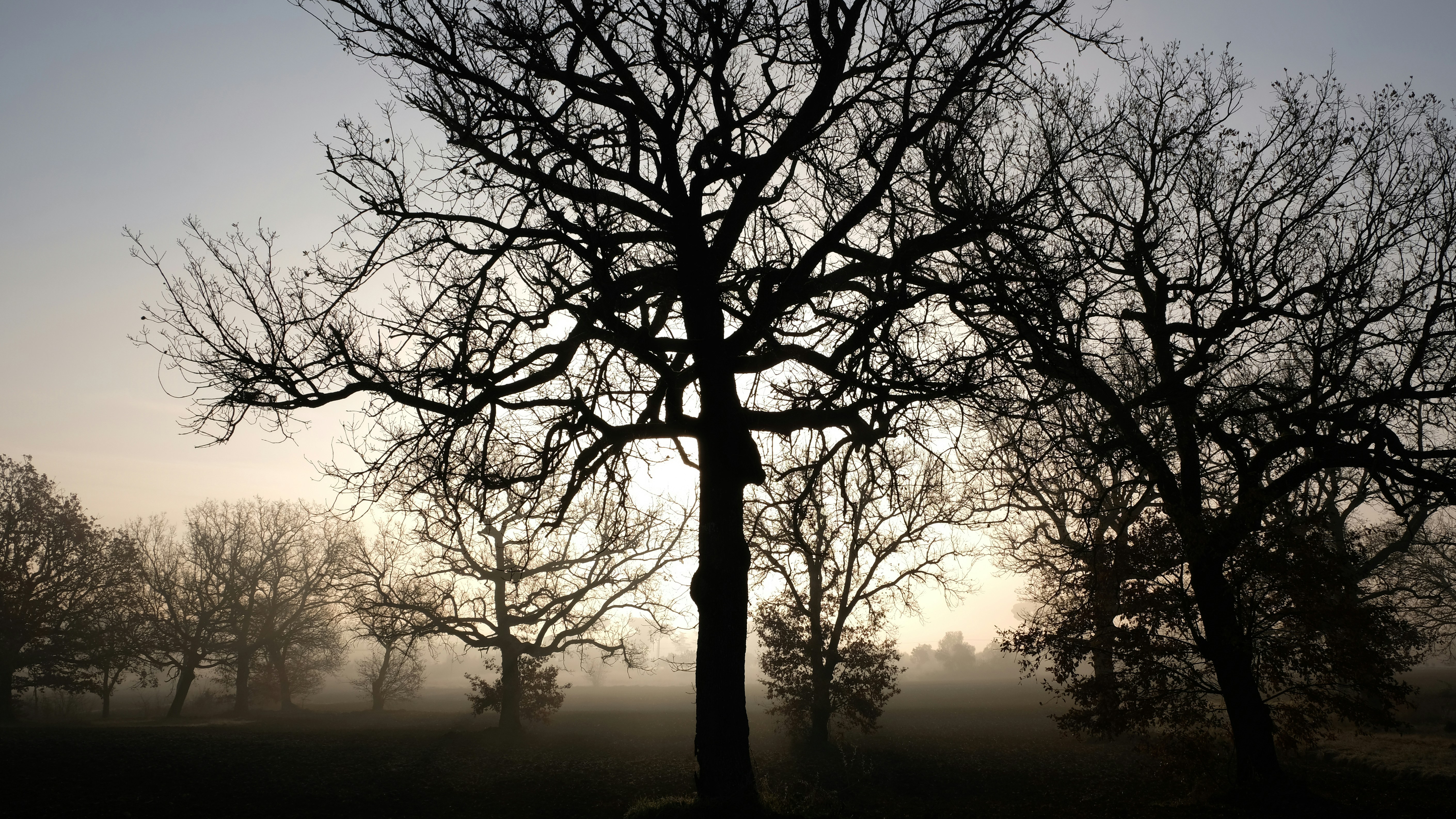 Photo by elrumordelaluz