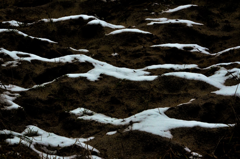 snow covered hills