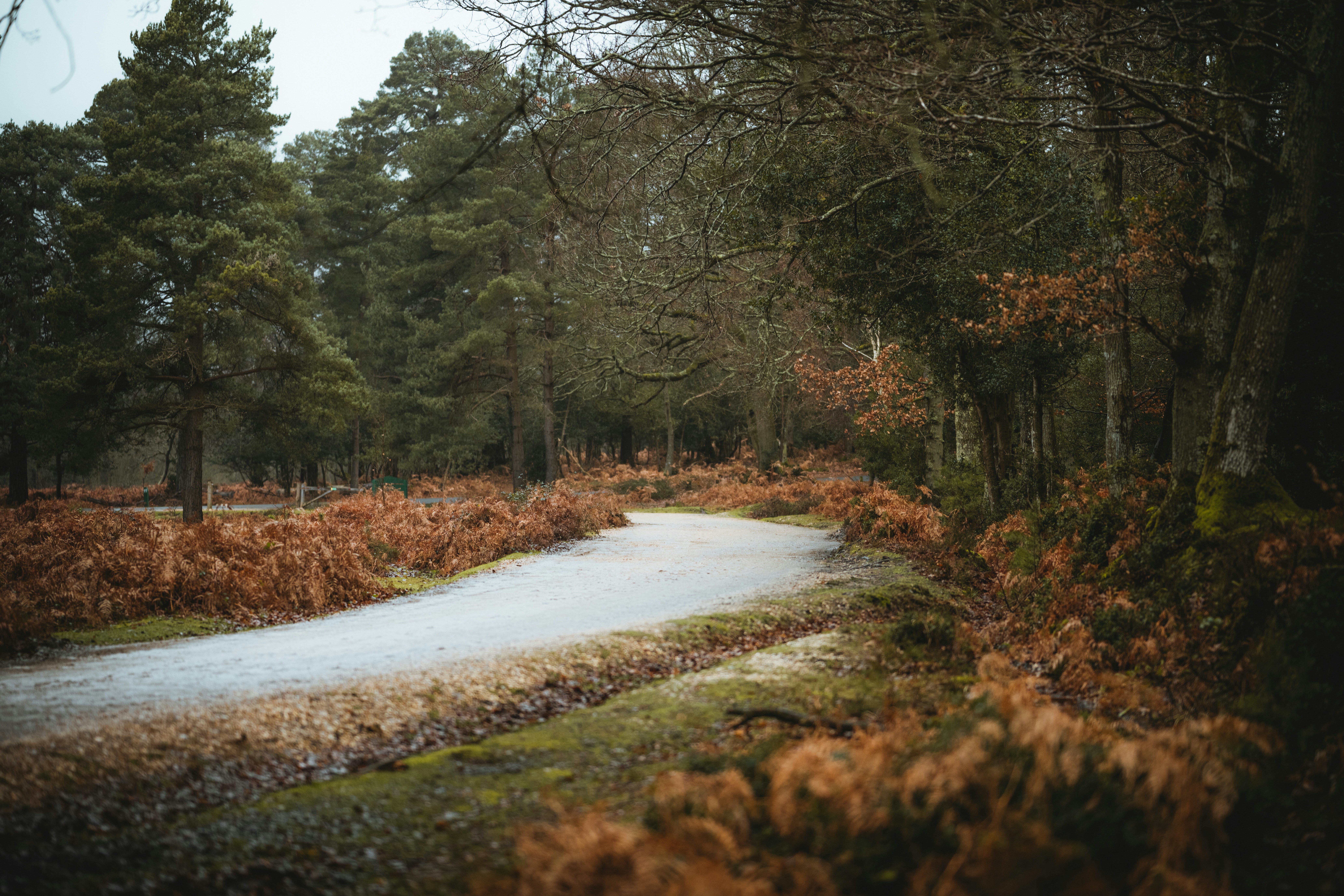 Photo by anniespratt