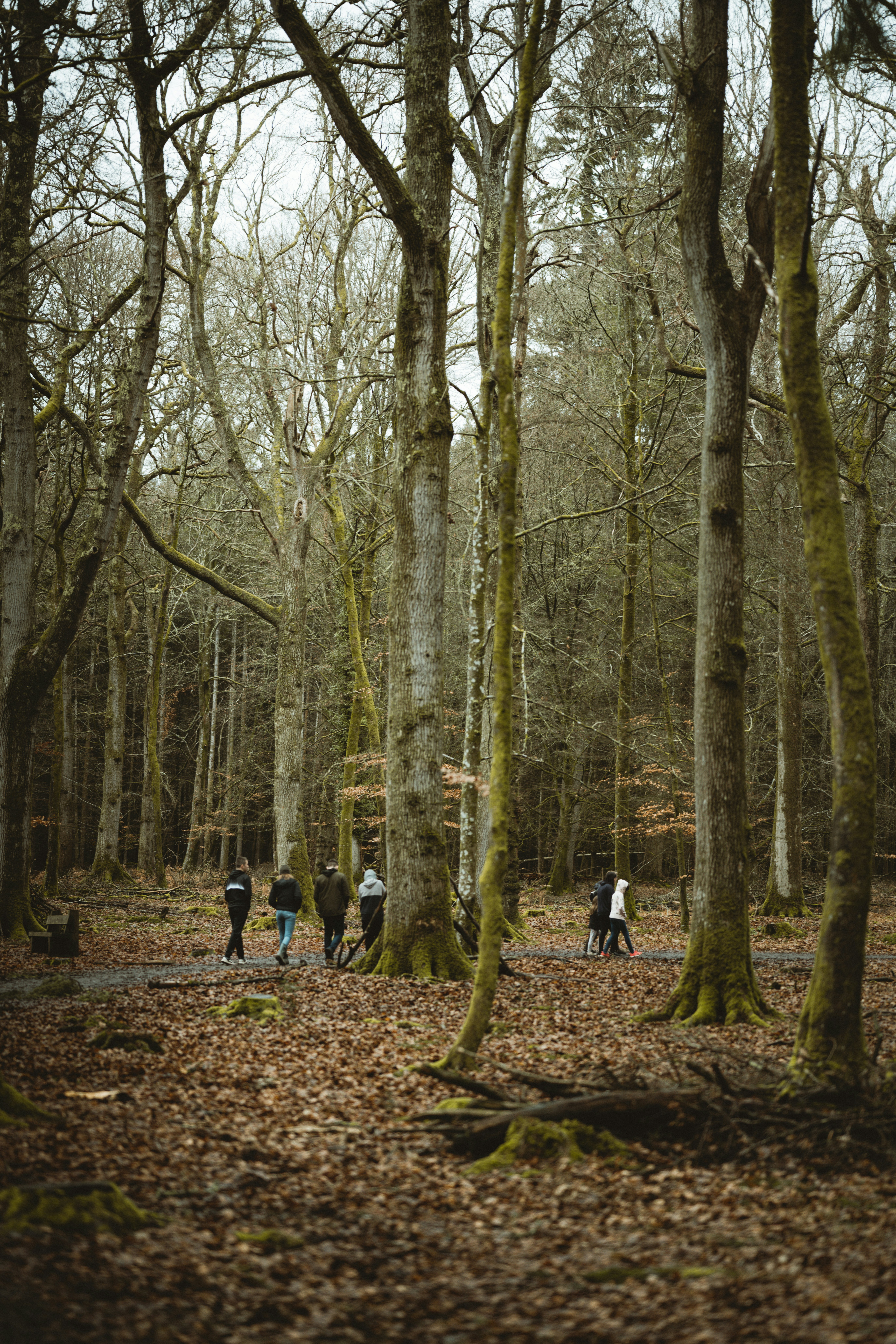 Photo by anniespratt