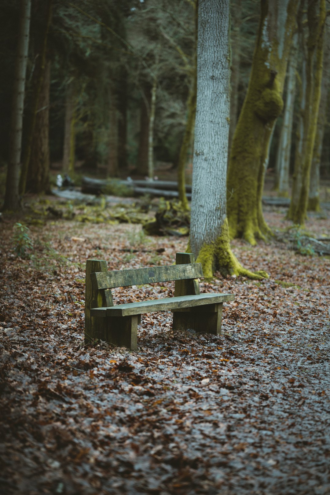 brown wooden bench