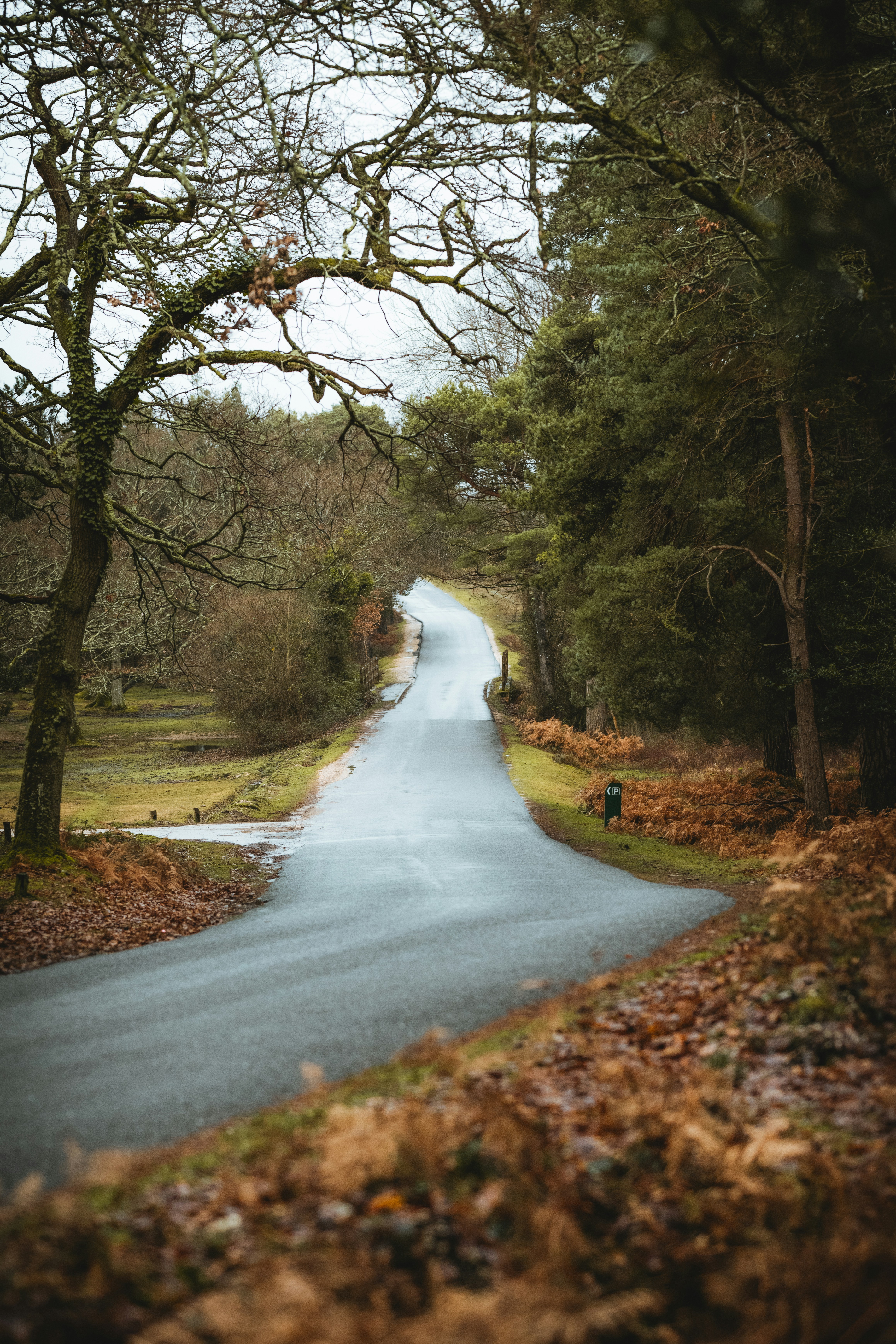 Photo by anniespratt