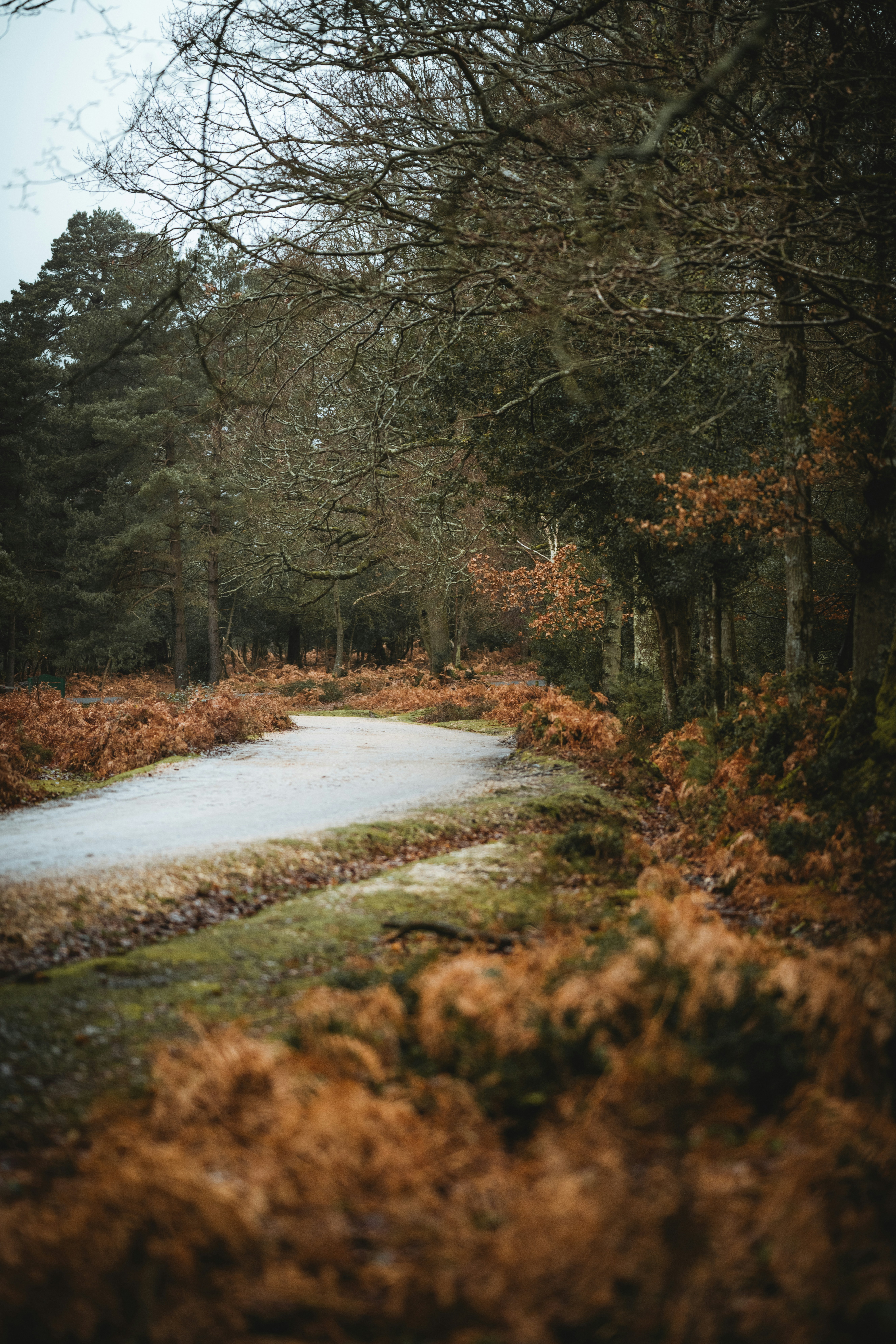 Photo by anniespratt