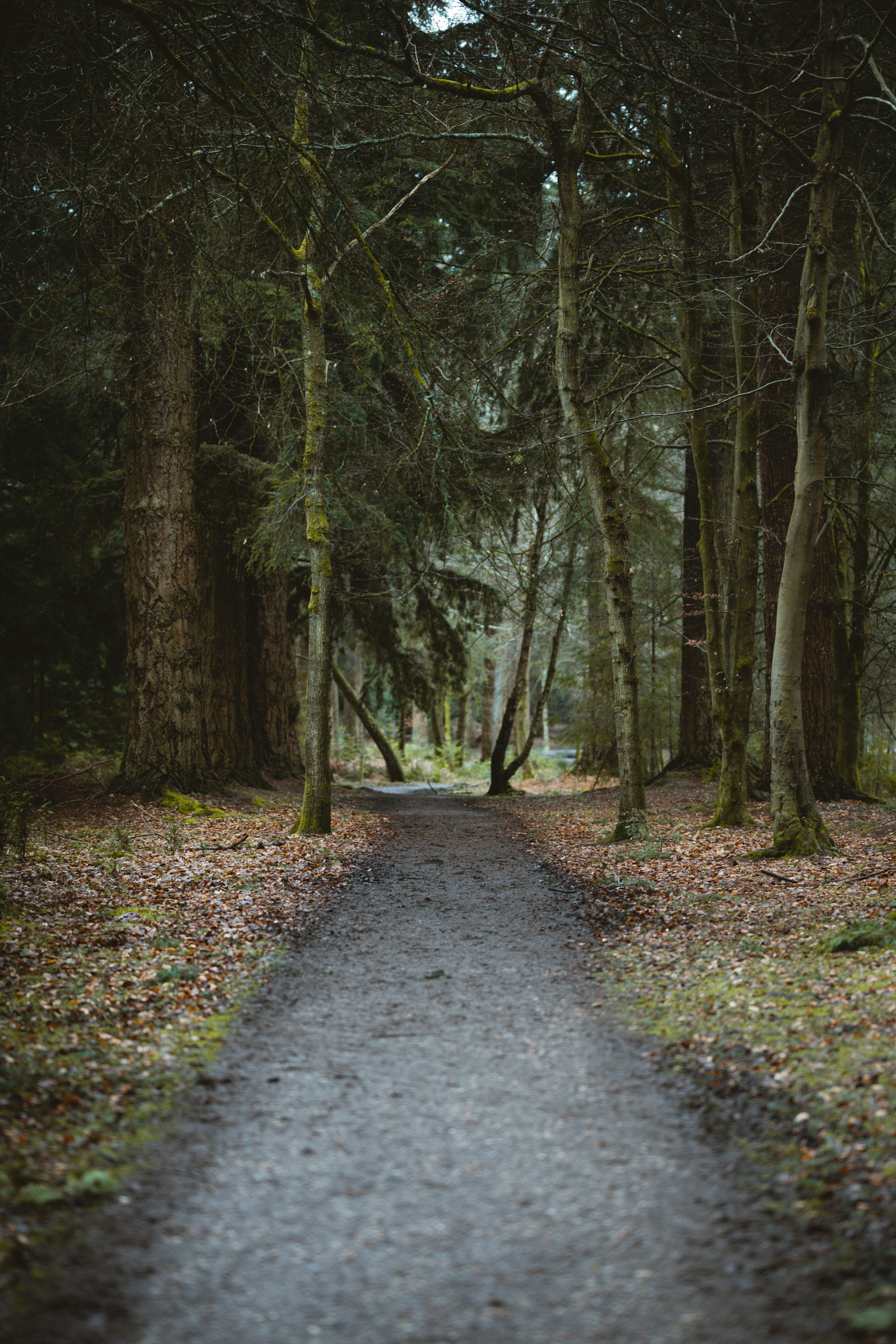 Photo by anniespratt