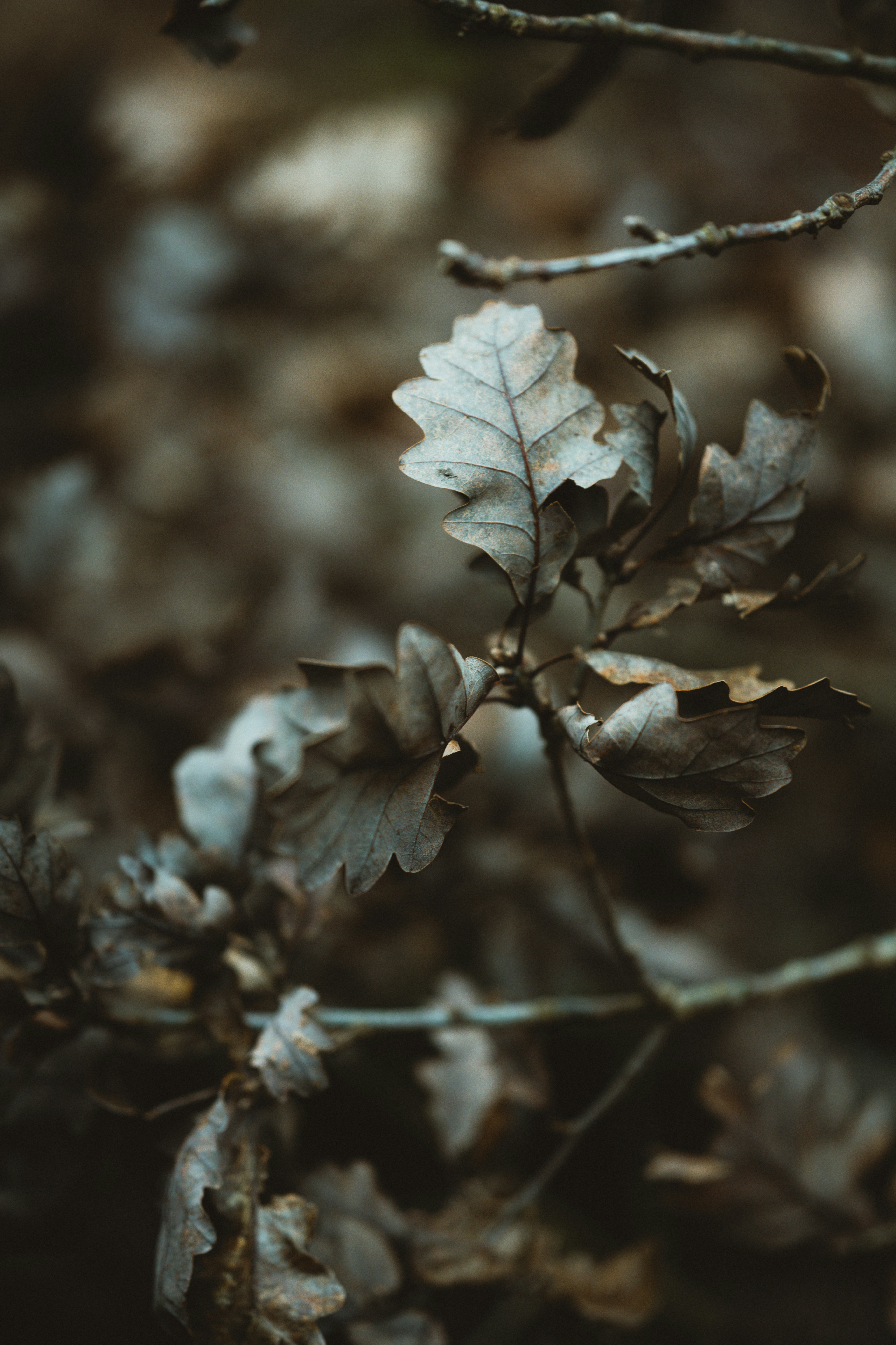 Photo by anniespratt