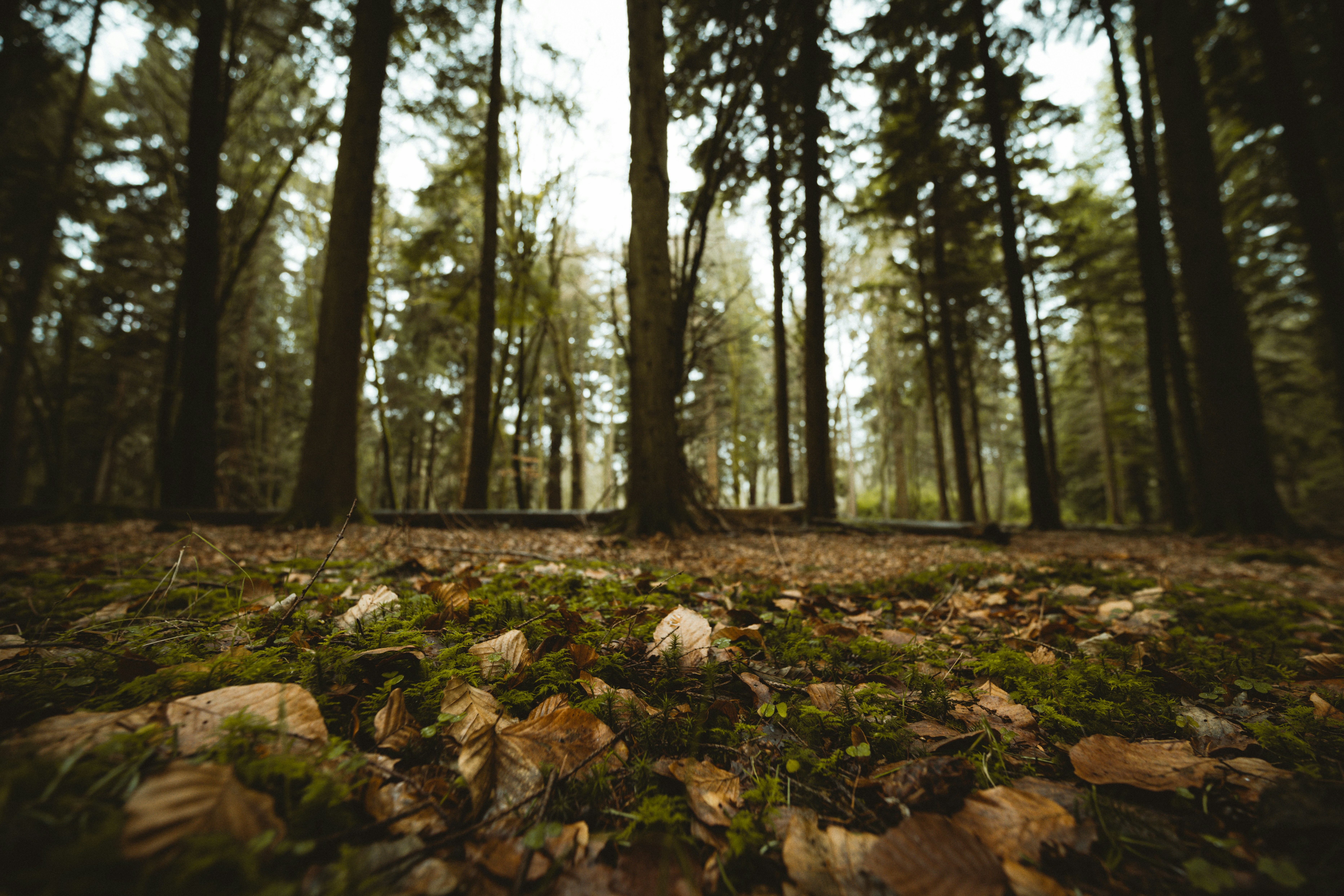 Photo by anniespratt