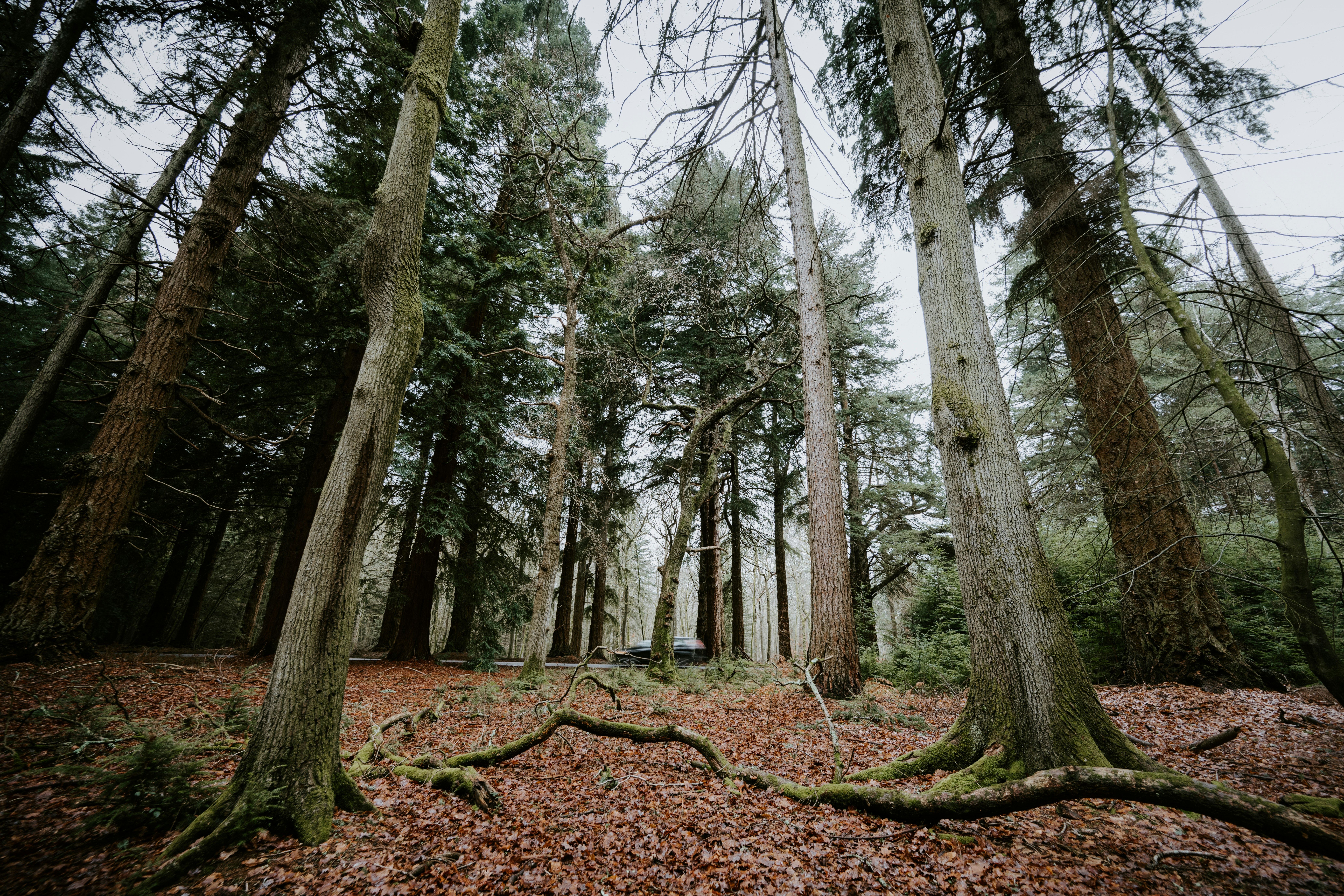 Photo by anniespratt