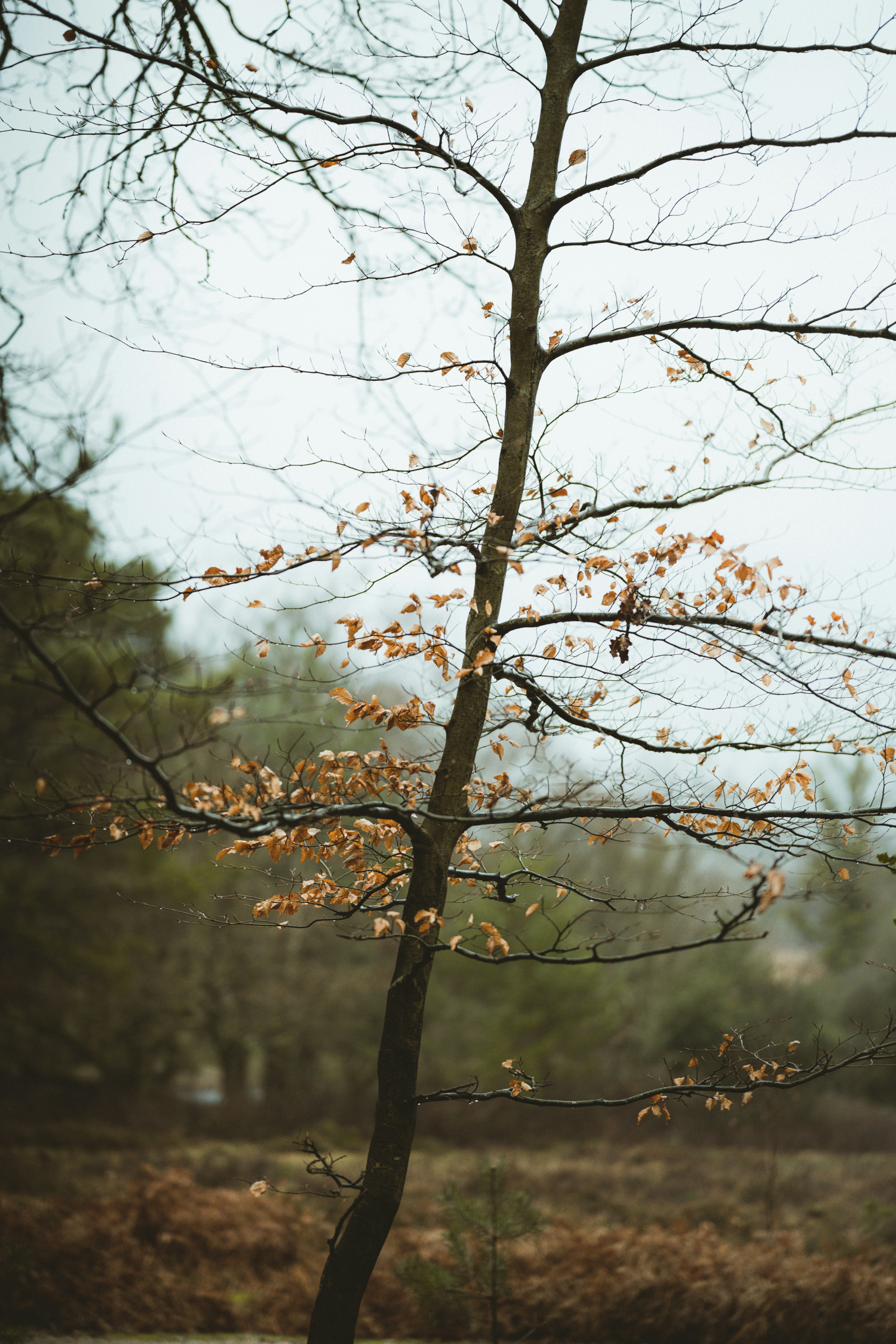 Photo by anniespratt