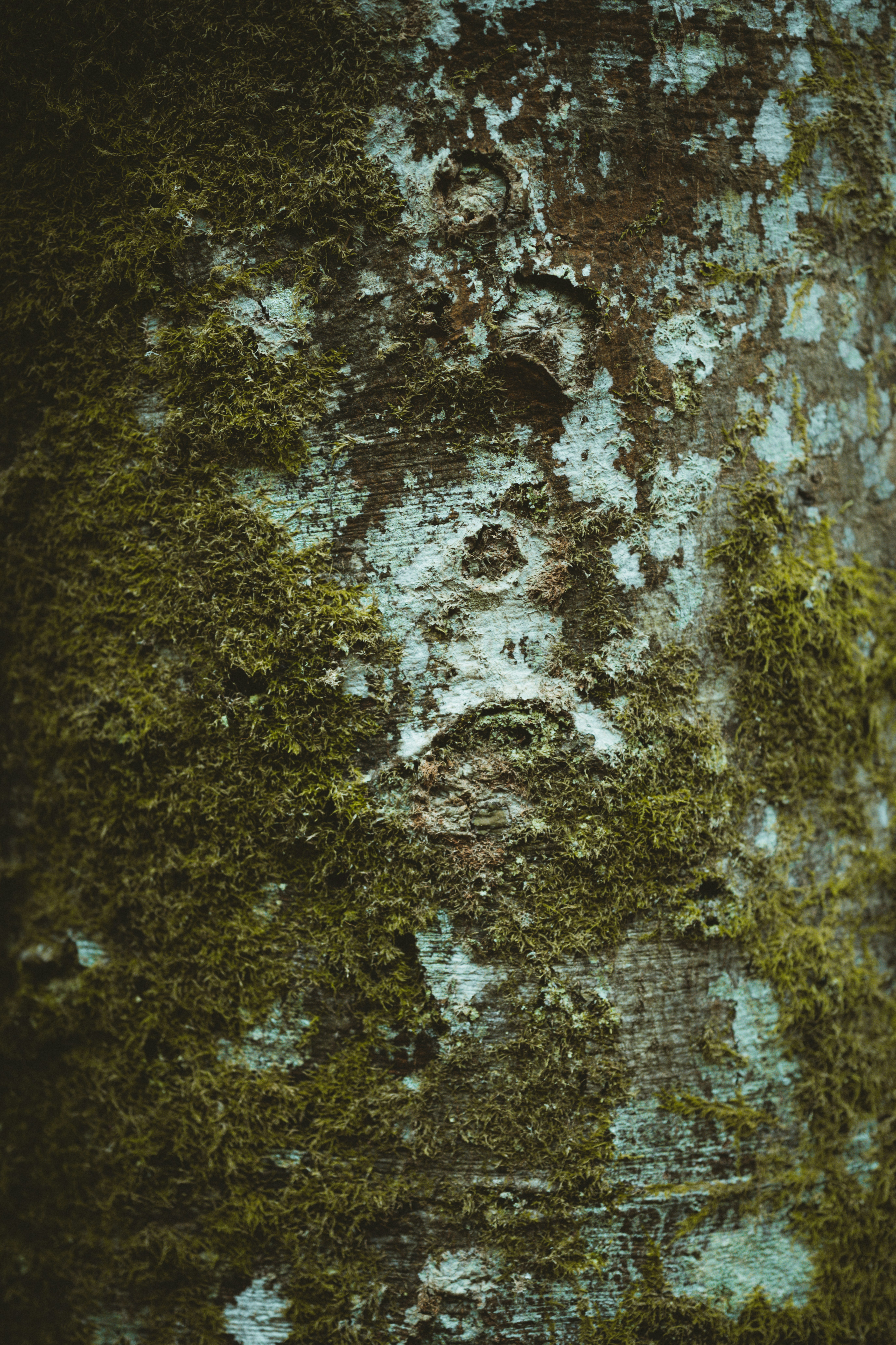 Photo by anniespratt