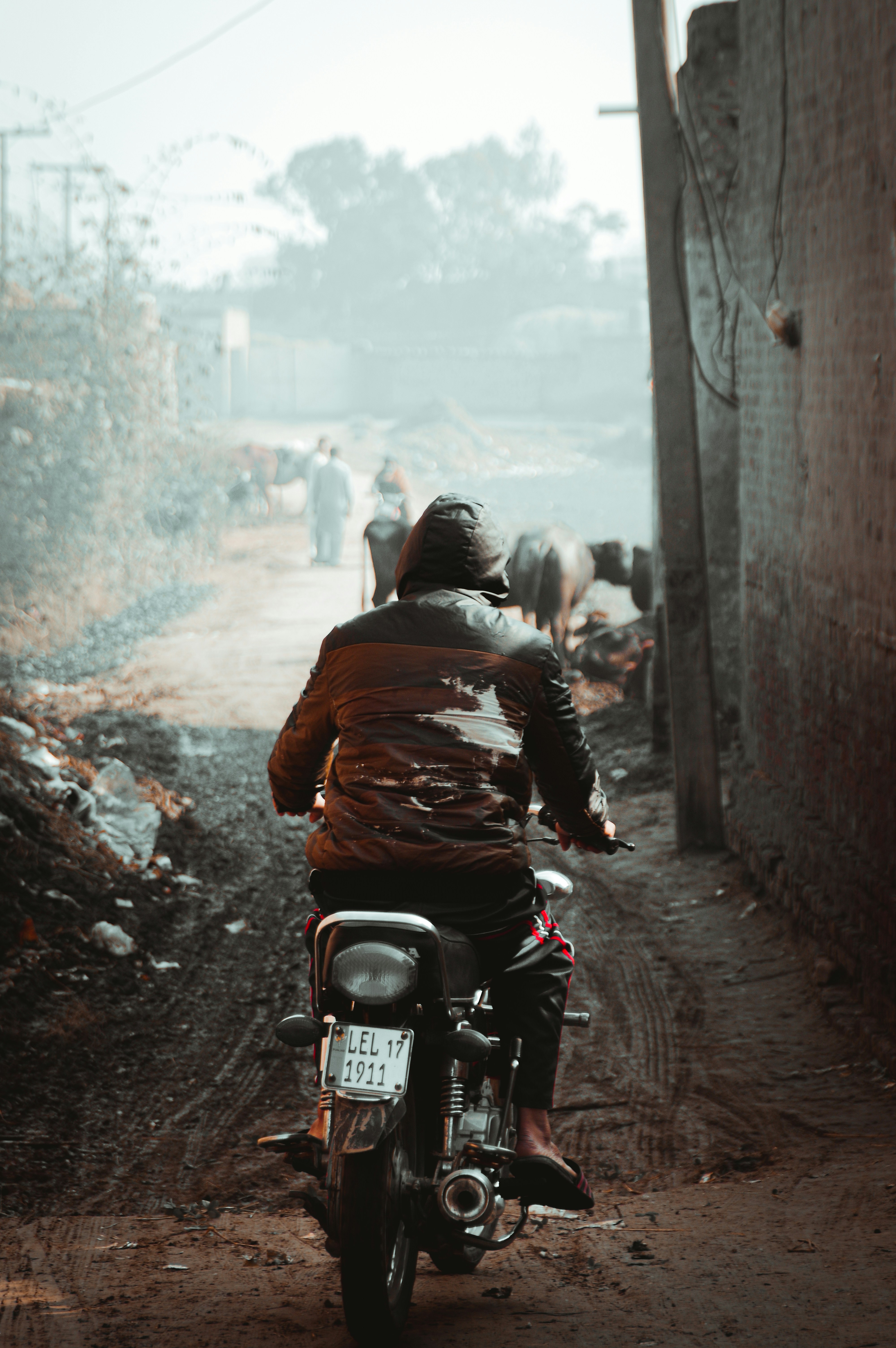 Photo by alibinahsan