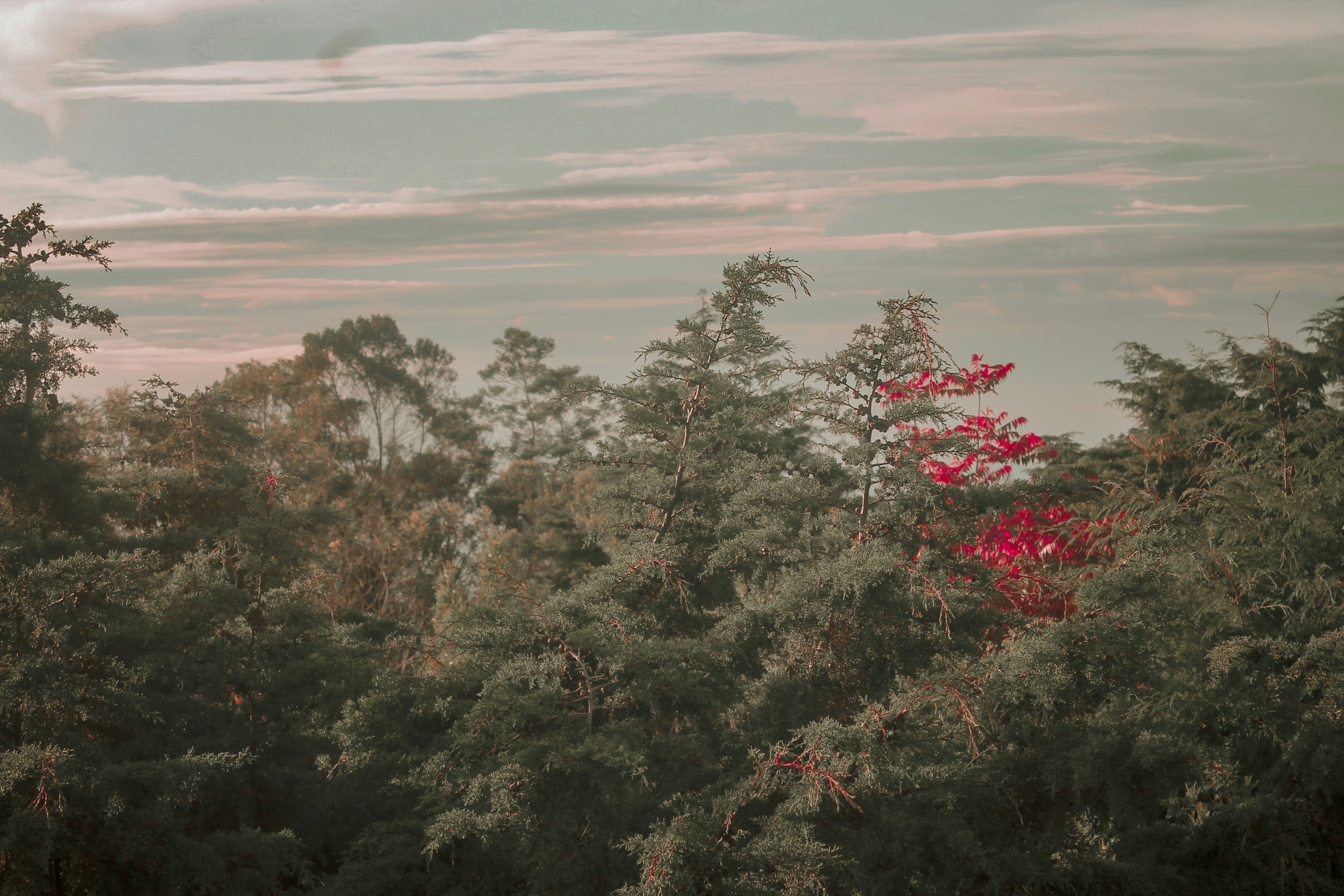 Photo by cinnamonroll