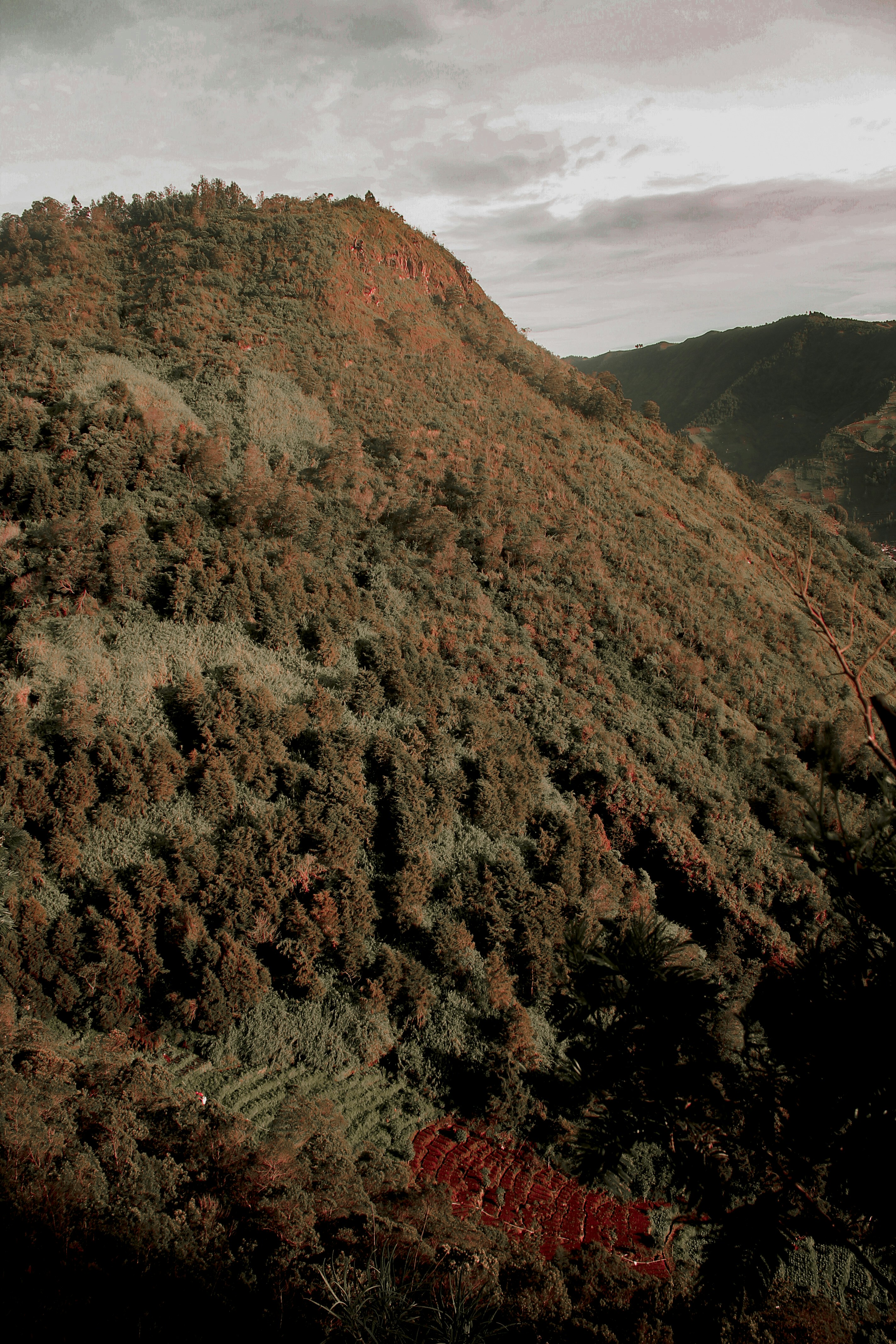 Photo by cinnamonroll