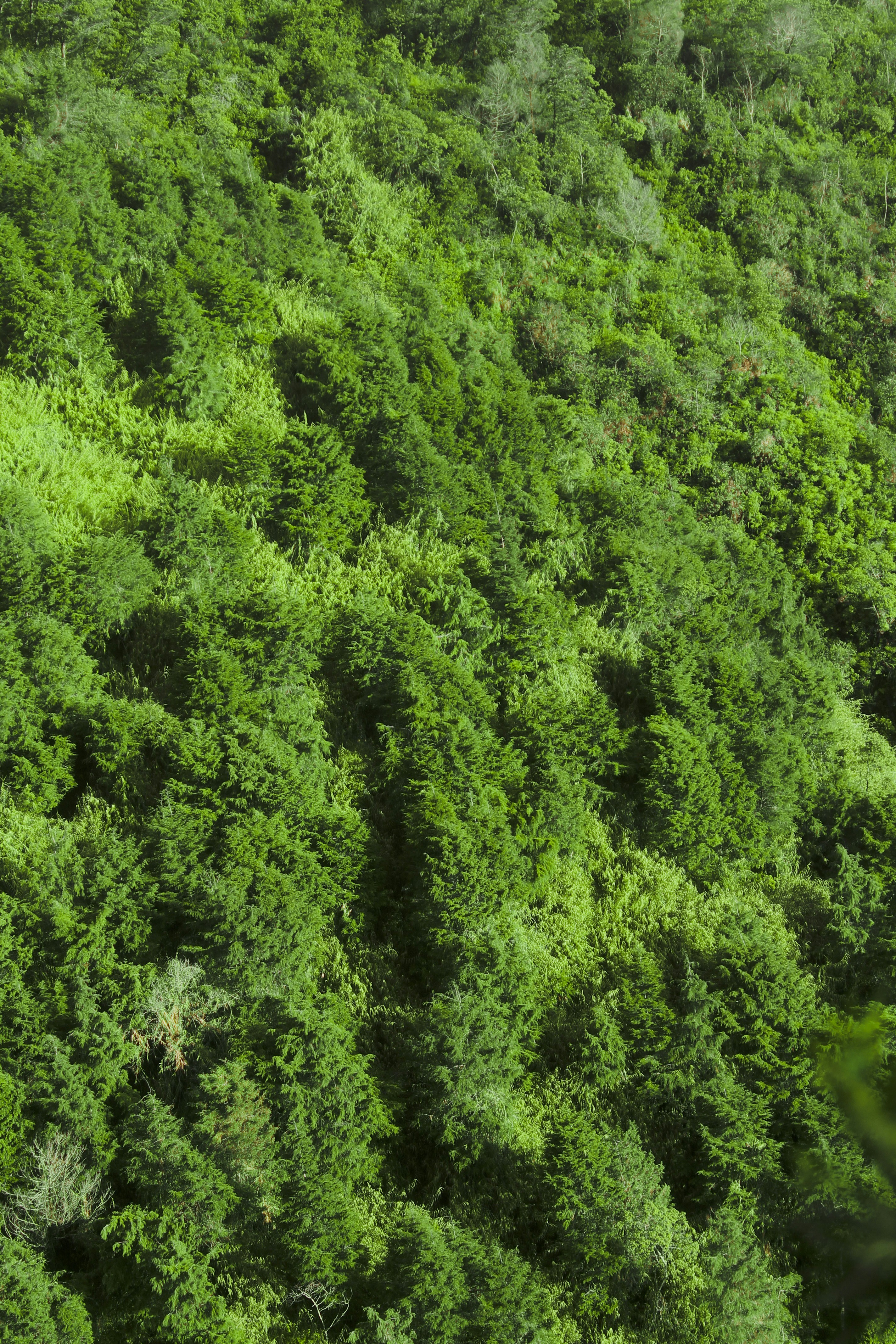 Photo by cinnamonroll