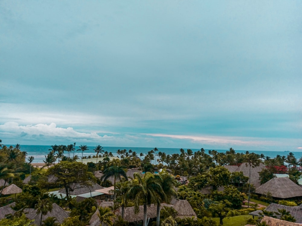 wide-angle photography of brown hut surrounded by coconut palm trees during daytime