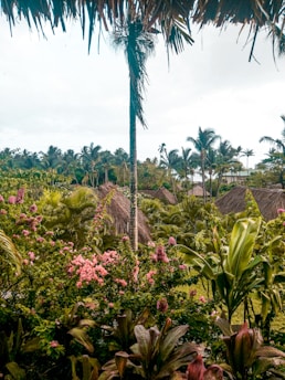 Cozy lodging nestled in the midst of tropical plants and flowers.