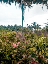 A lush tropical setting featuring an abundance of palm trees and various green plants. Vibrant pink flowers add a splash of color among the dense greenery. Several thatched-roof huts are nestled amidst the foliage. The scene conveys a sense of tranquility and natural beauty.