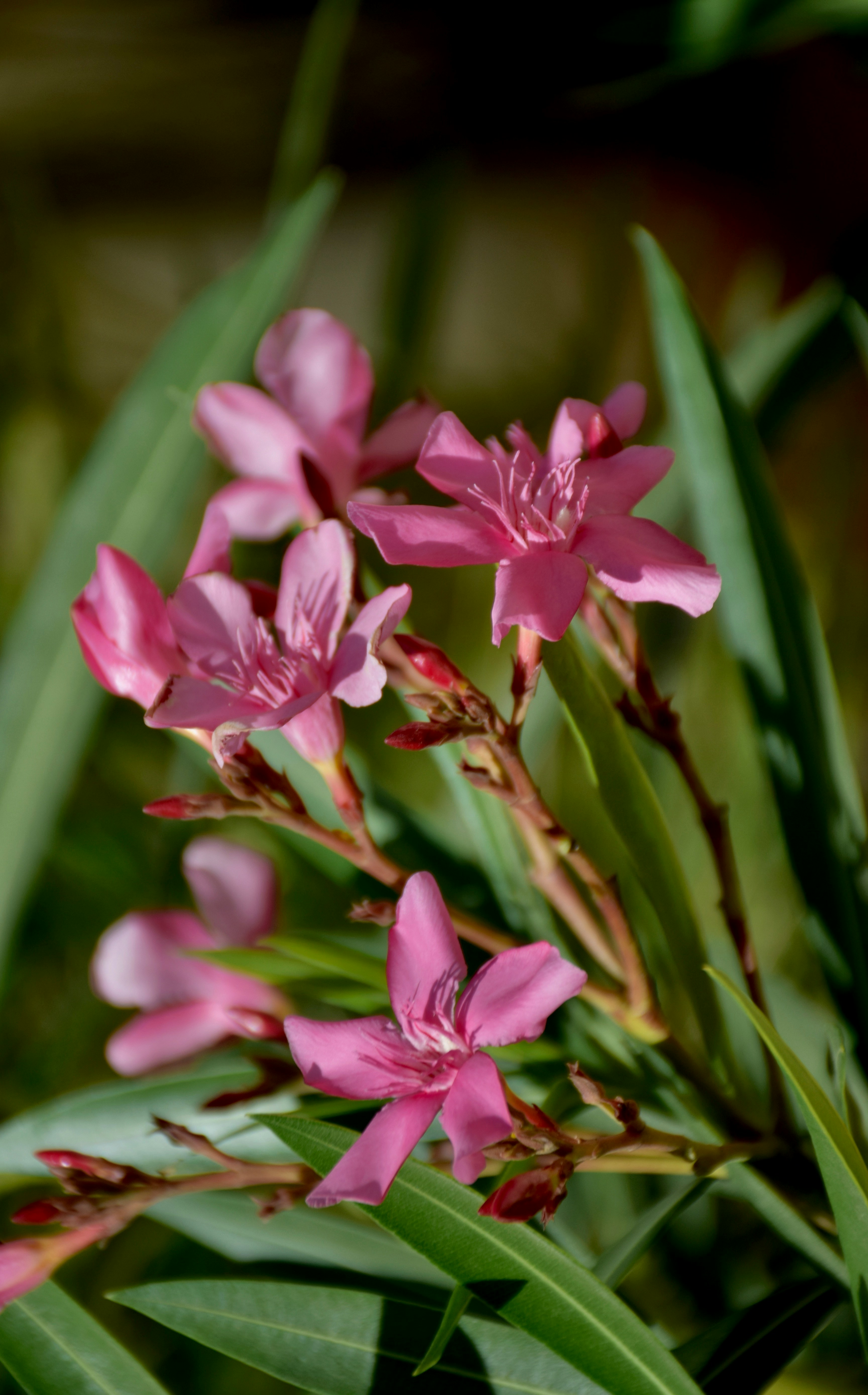 Photo by rrajputphotography