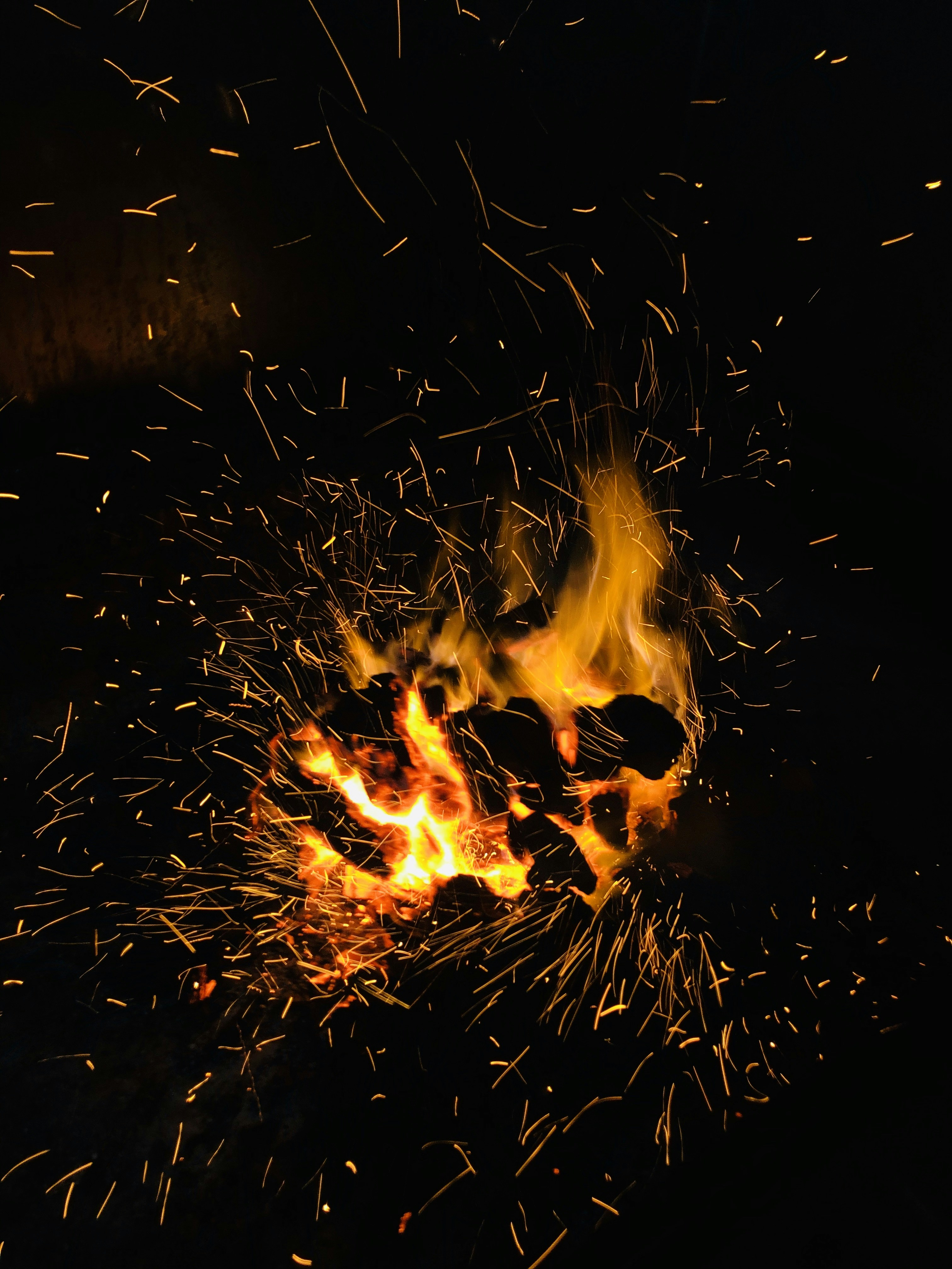 Photo by joaomartins201