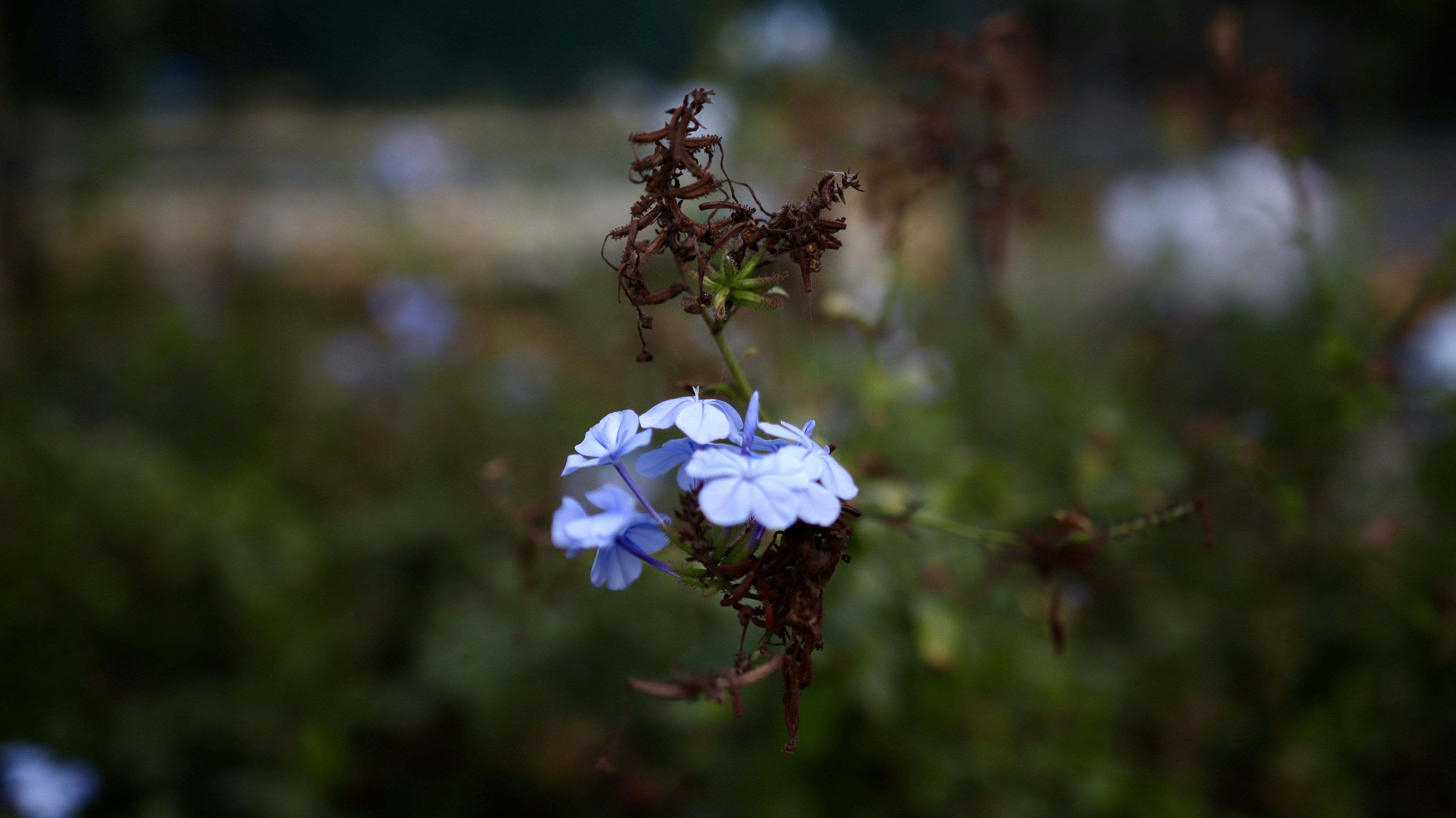 Photo by rrajputphotography