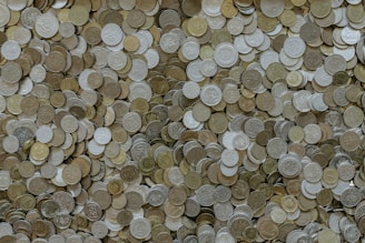 round silver-and-gold-colored coin collection