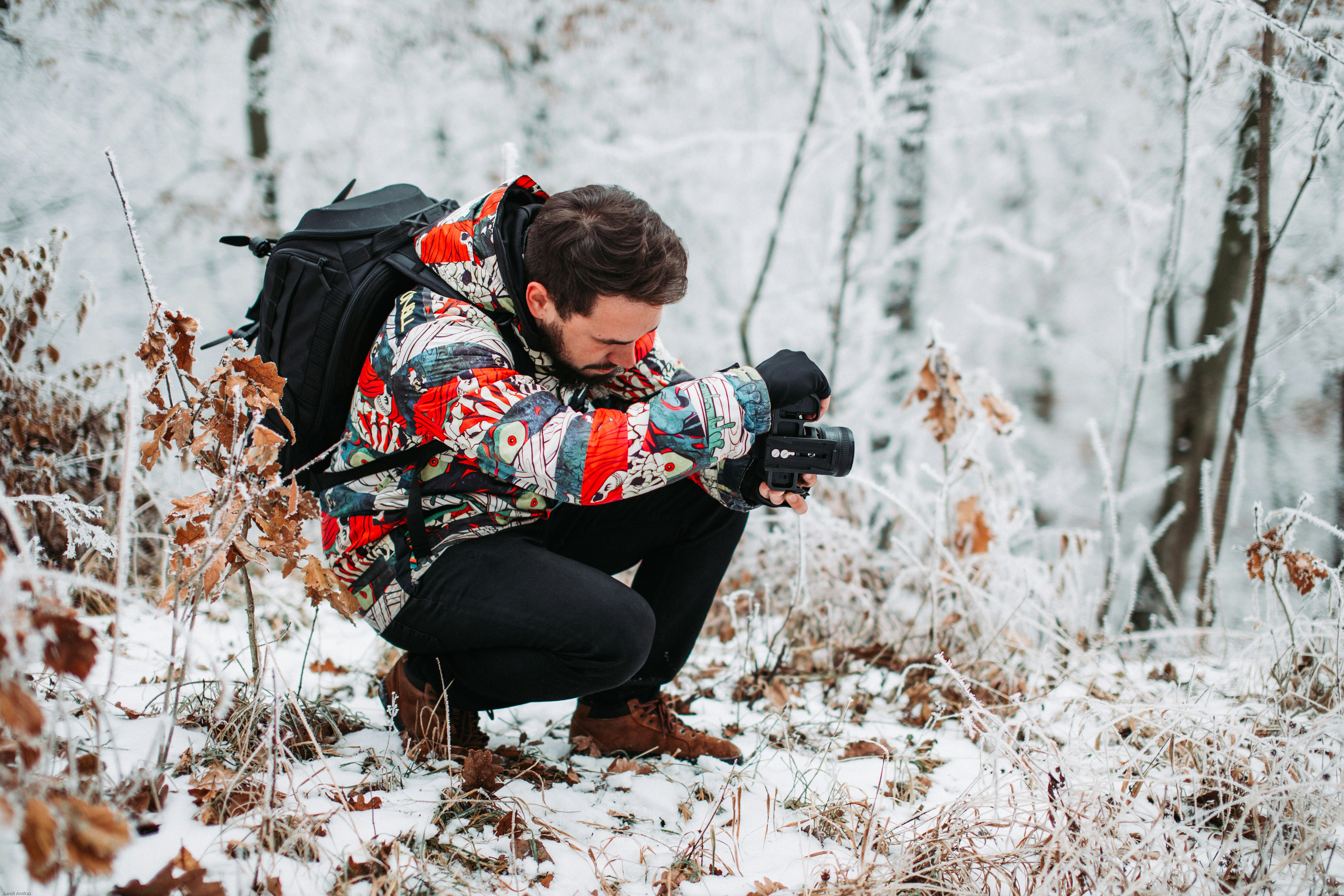 Photo by tamas_tuzeskatai