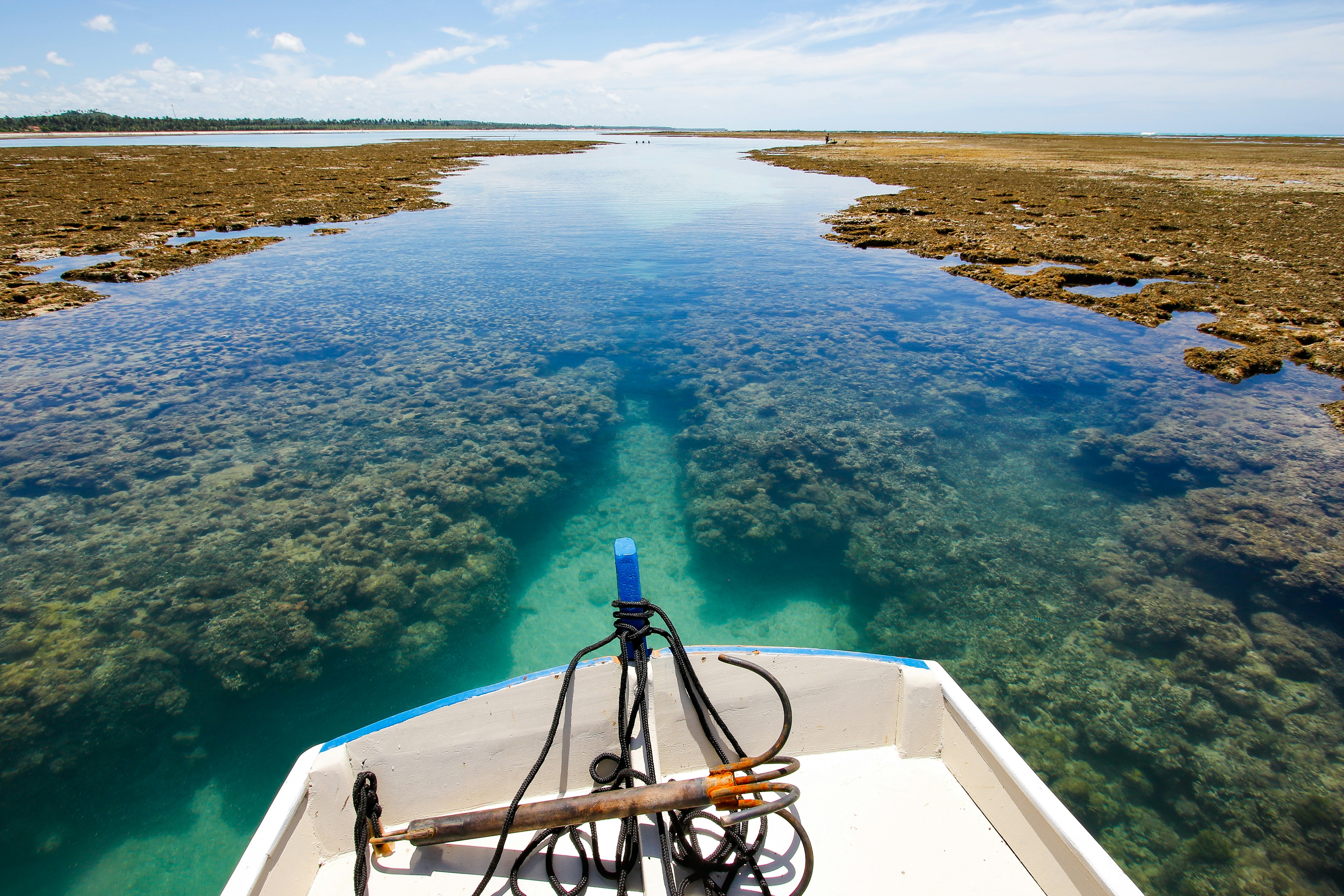 Similan Islands Snorkeling