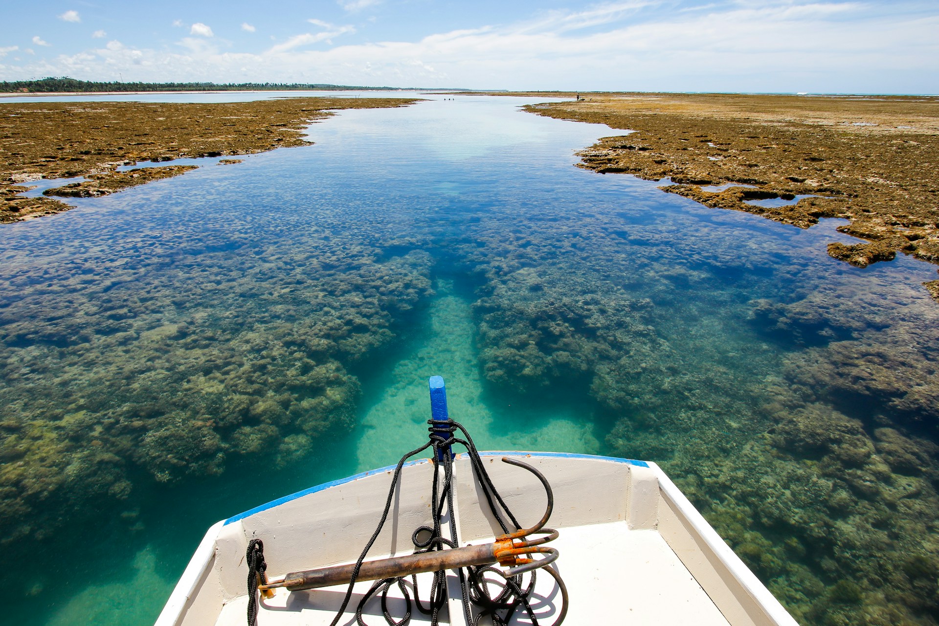 woman wearing yellow long-sleeved dress under white clouds and blue sky during daytime