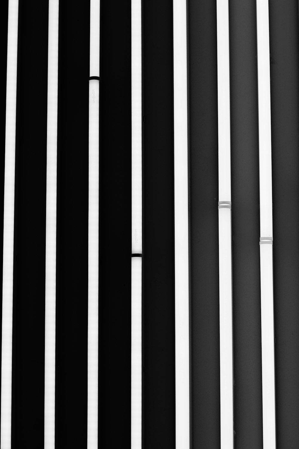 black and white striped digital wallpaper