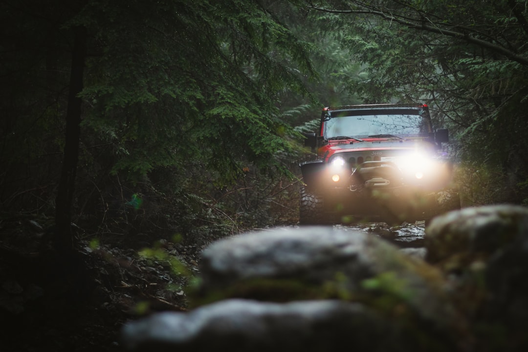 black vehicle on dirt road