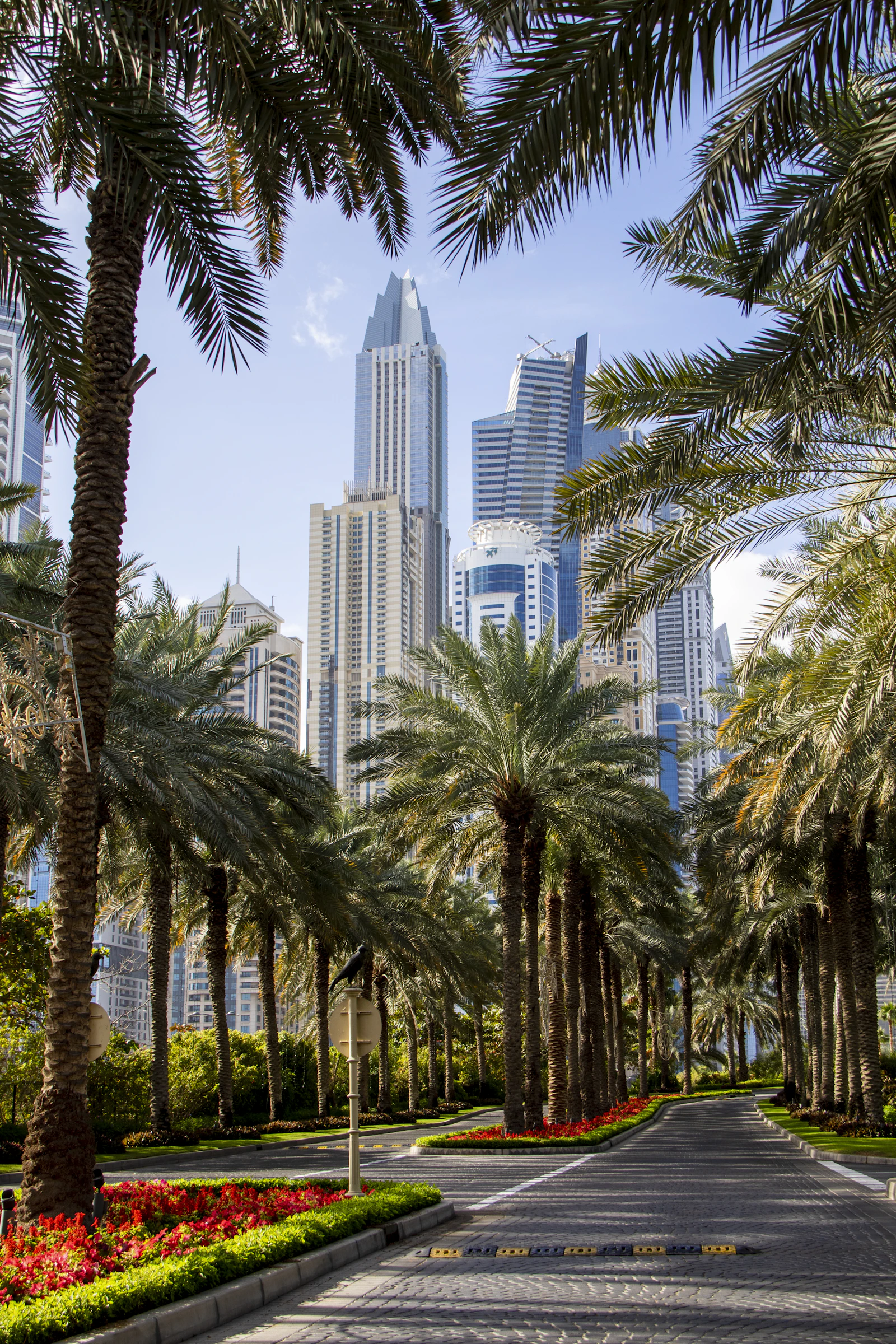 Empty palm-lined Dubai roadway at dusk