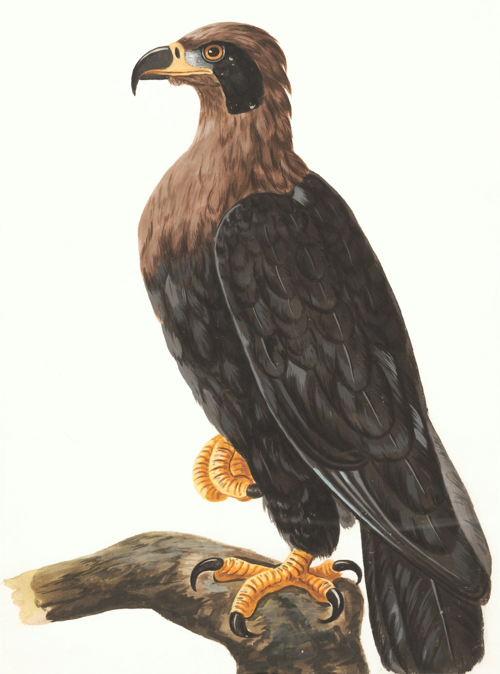 brown eagle on tree painting
