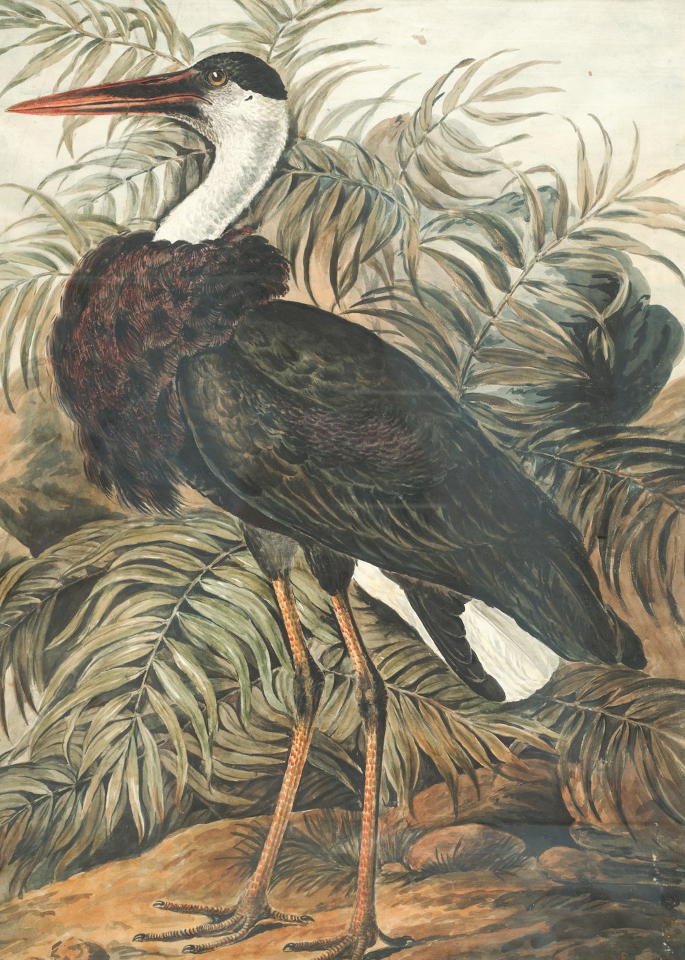 Pintura de pájaro grulla en blanco y negro