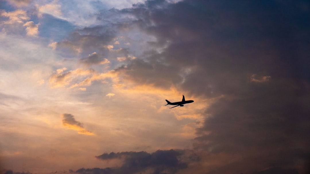 Battle of the Skies: Ranking the Top US Airline Loyalty Programs for 2024