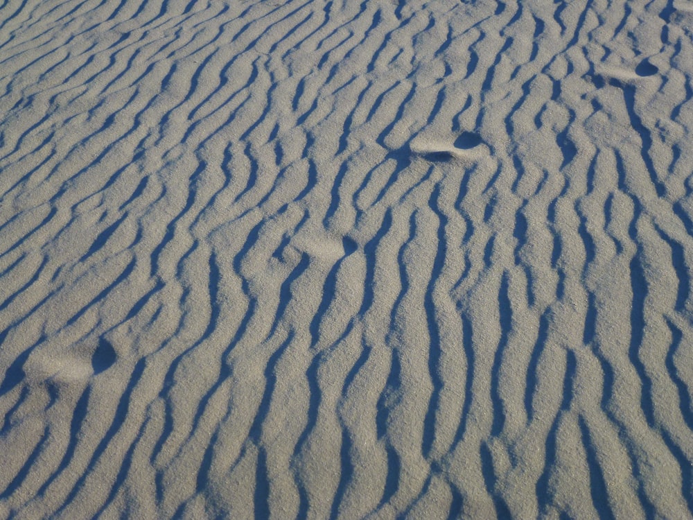 灰色の砂原