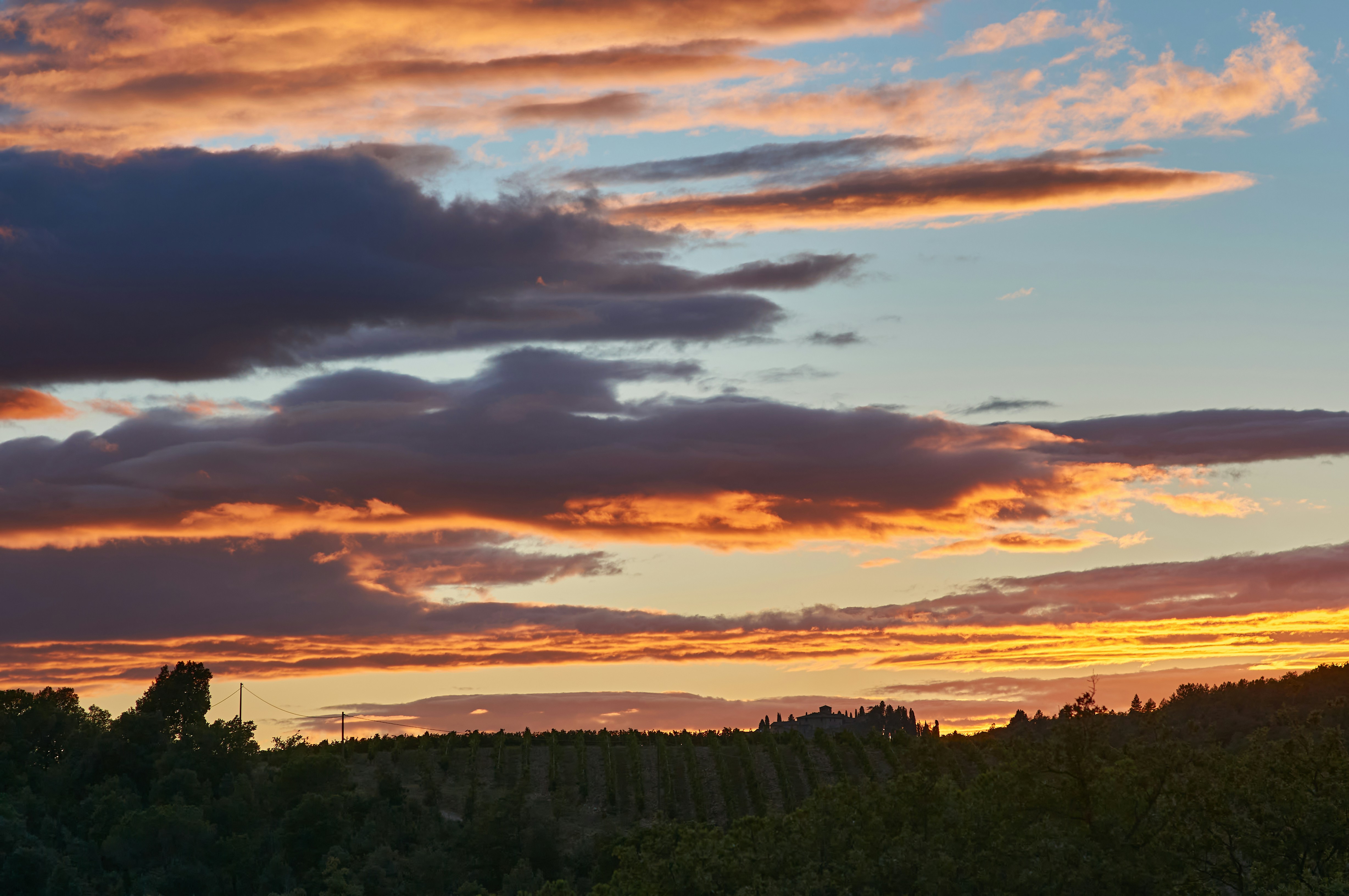 Photo by wolfgang_hasselmann