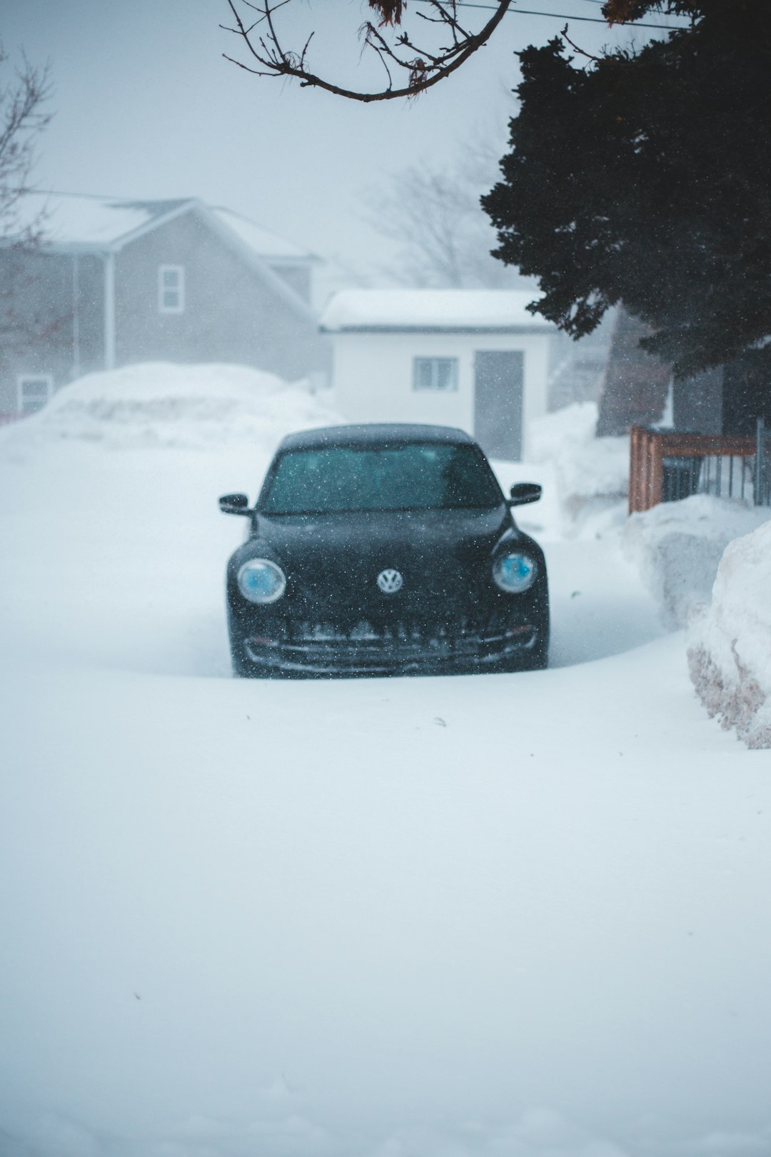 black Volkswagen car parked near tree during snow