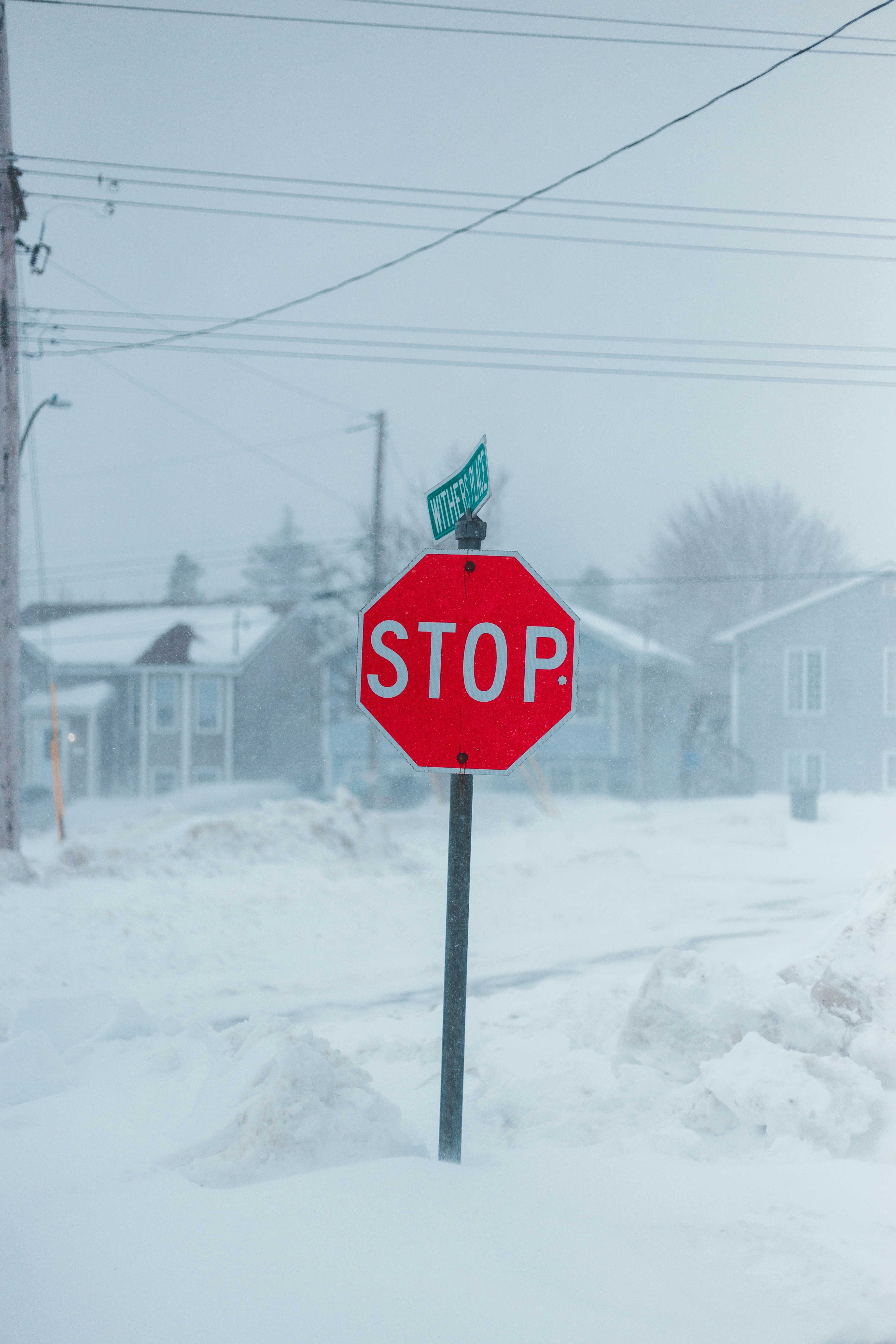 Photo by introspectivedsgn