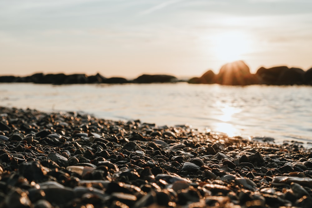 stones on body of water