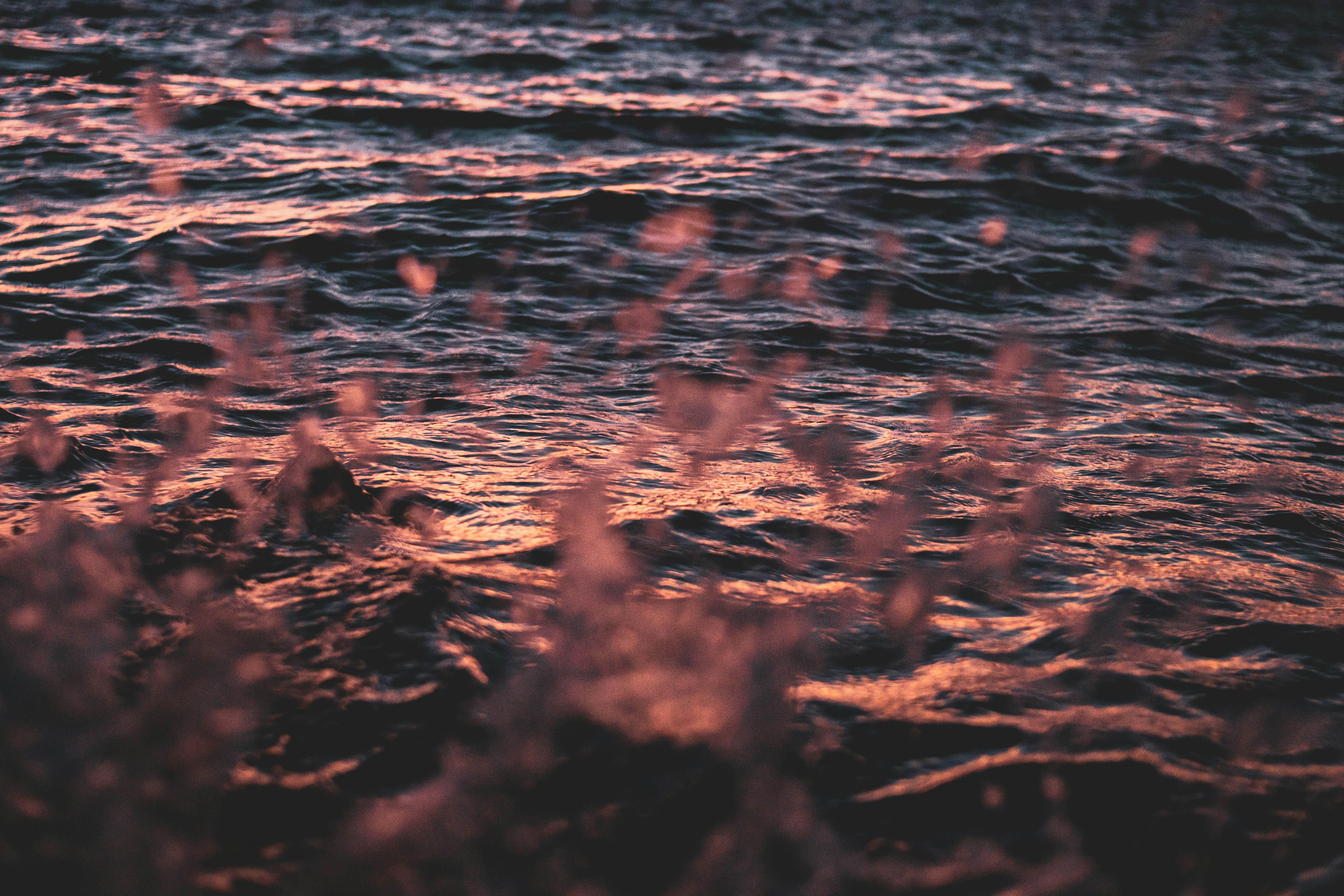 Photo by agustinfernandez