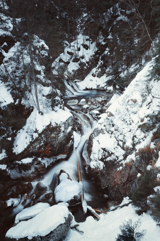 river during snow in Morskie Oko Poland