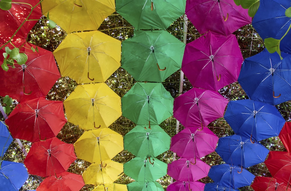 assorted-color umbrellas hanged on metal frame
