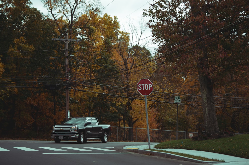 black pickup truck passing on road between trees during daytime